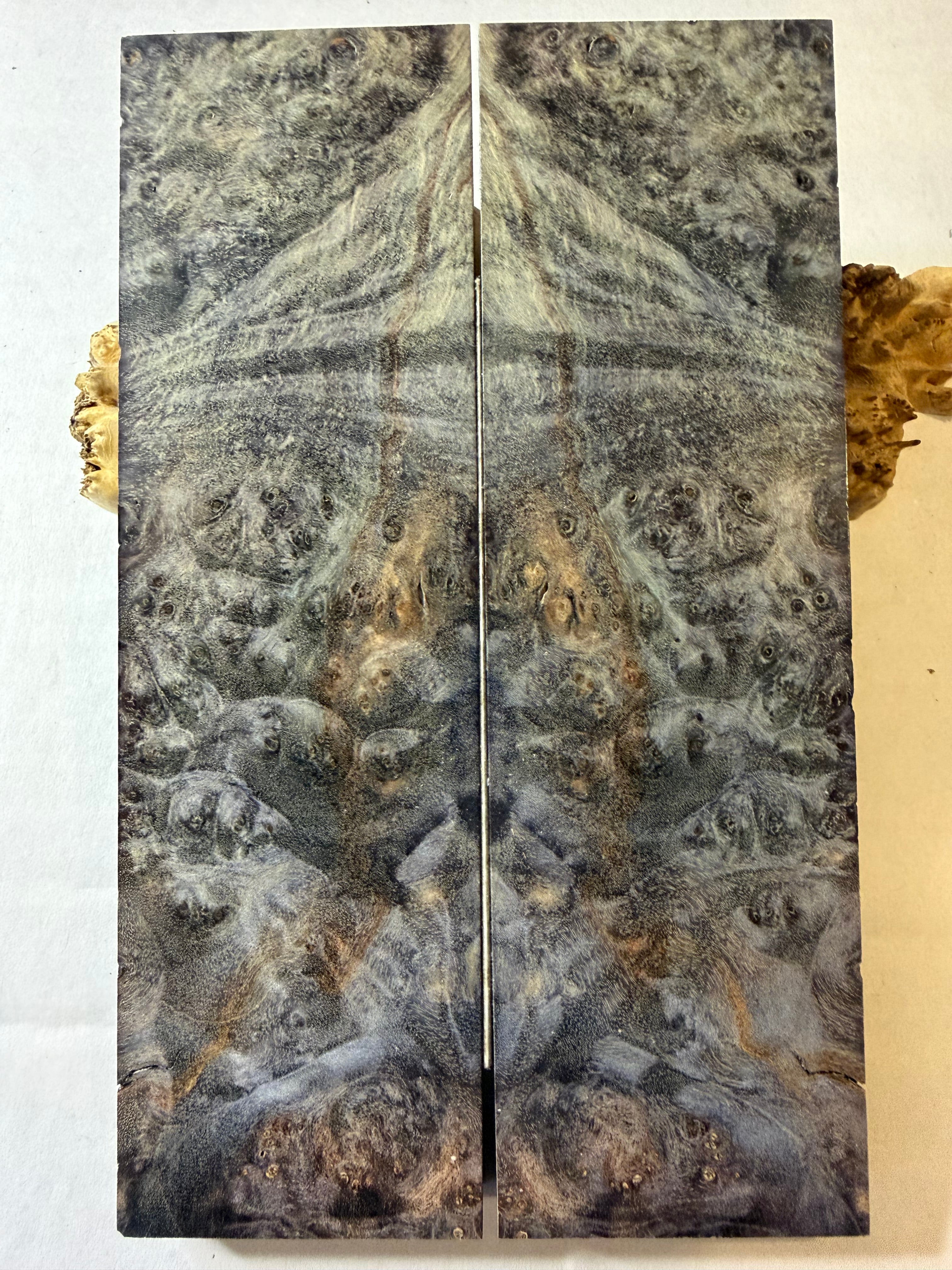 Boxelder Burl | #0308