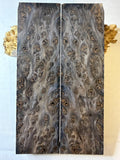 Redwood Burl | #0311
