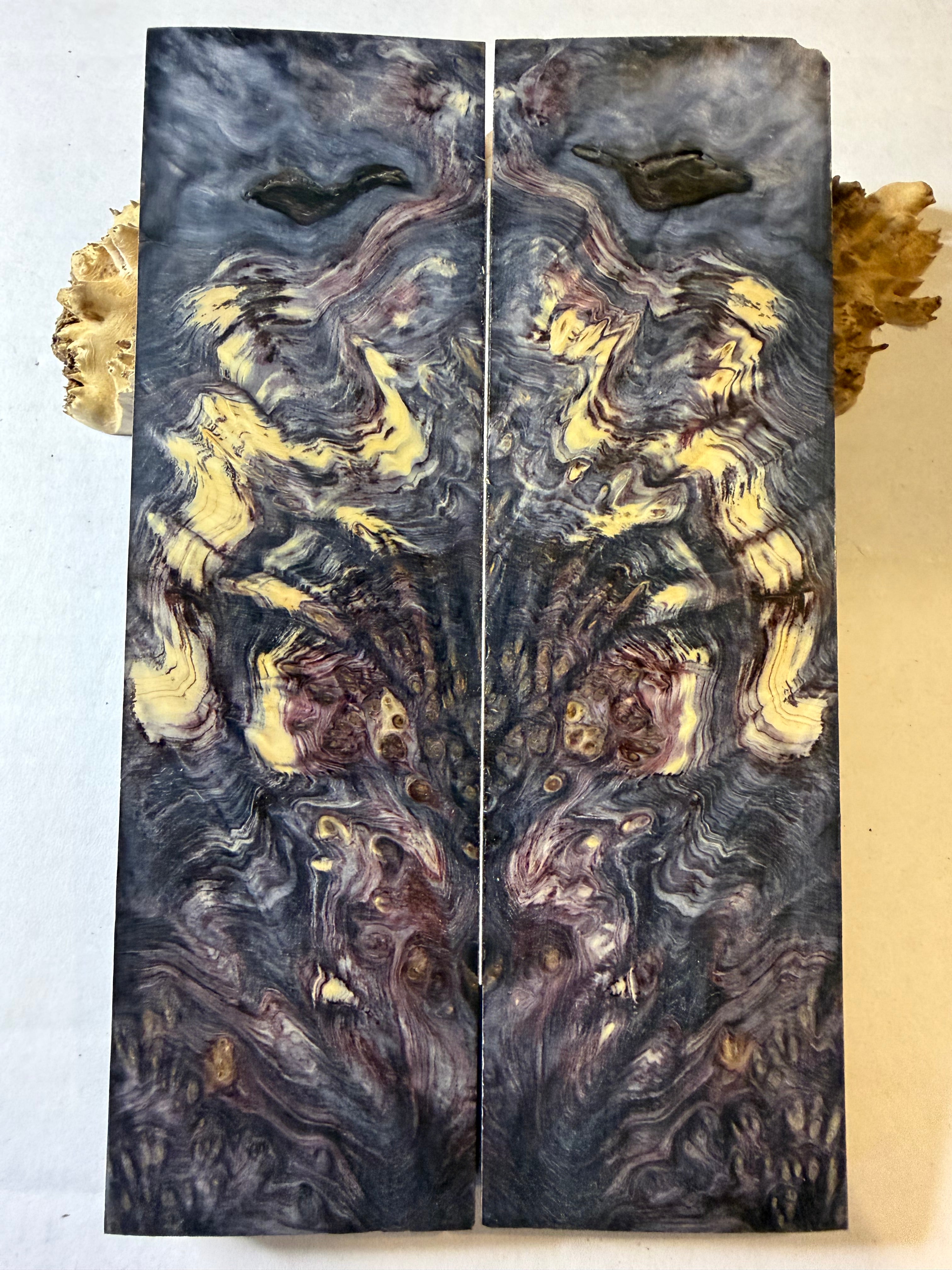 Yellow Cedar Burl | #0320
