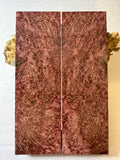 Blackash Burl | #0318
