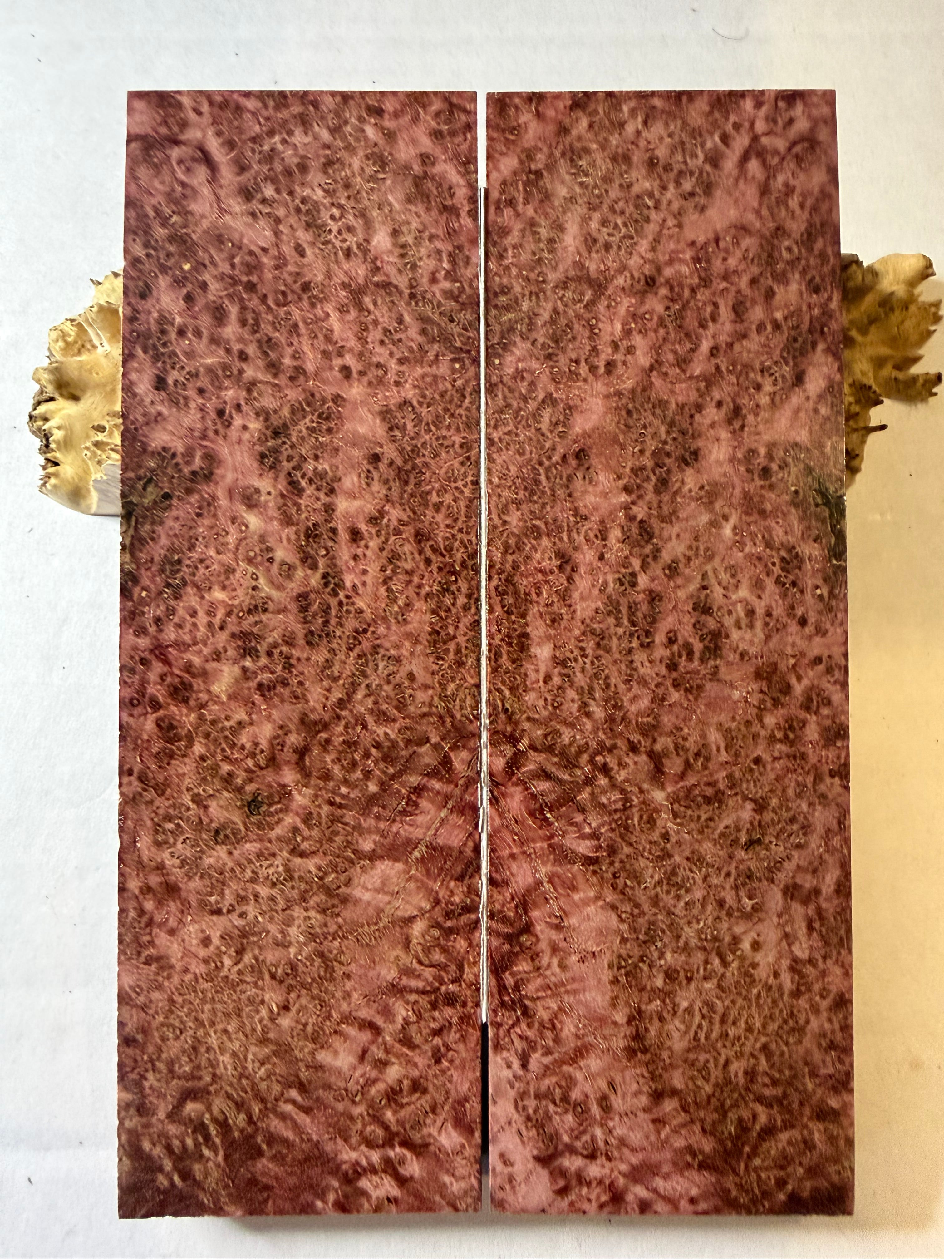 Blackash Burl | #0318