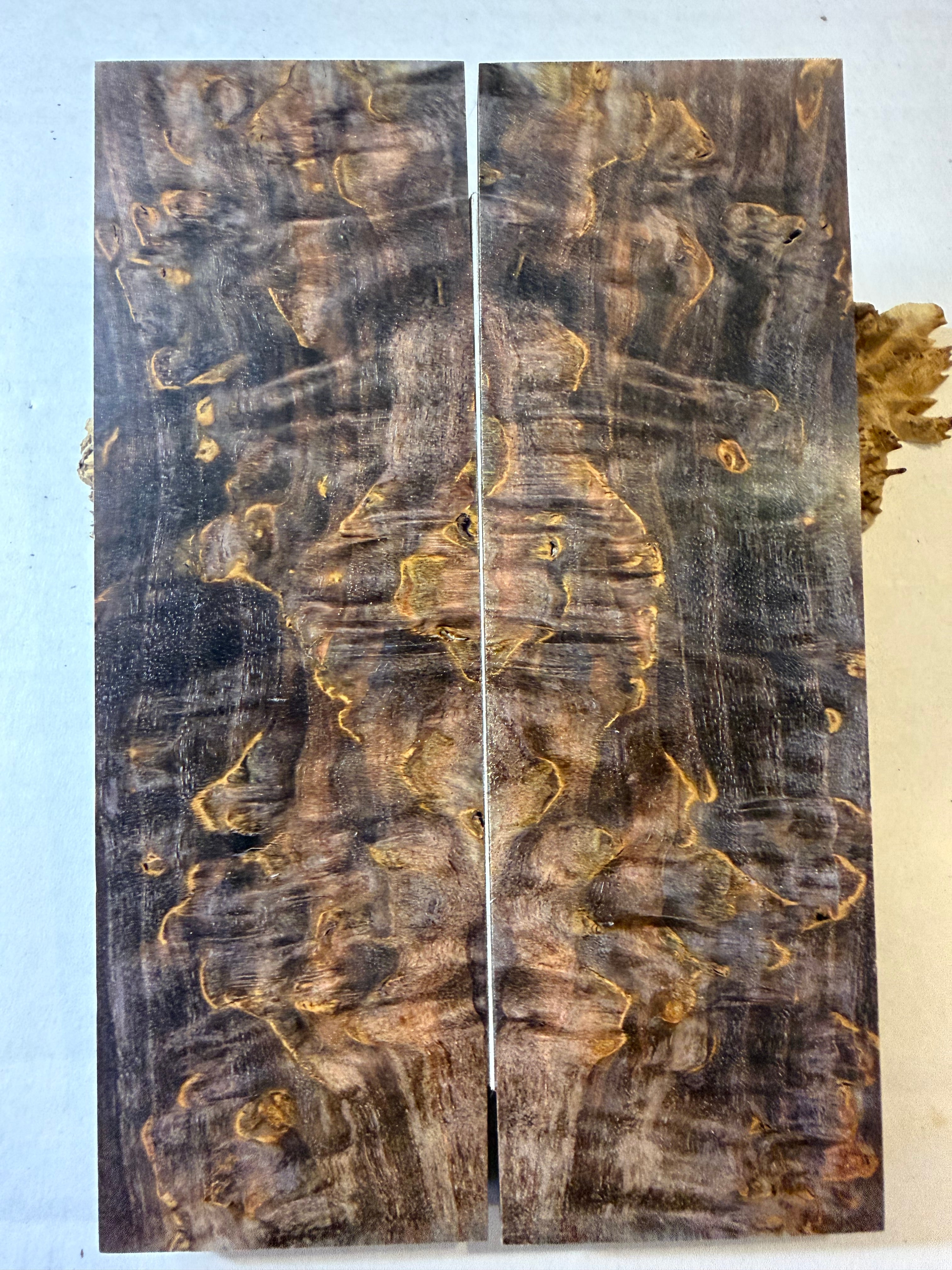 Karelian Birch | #0324