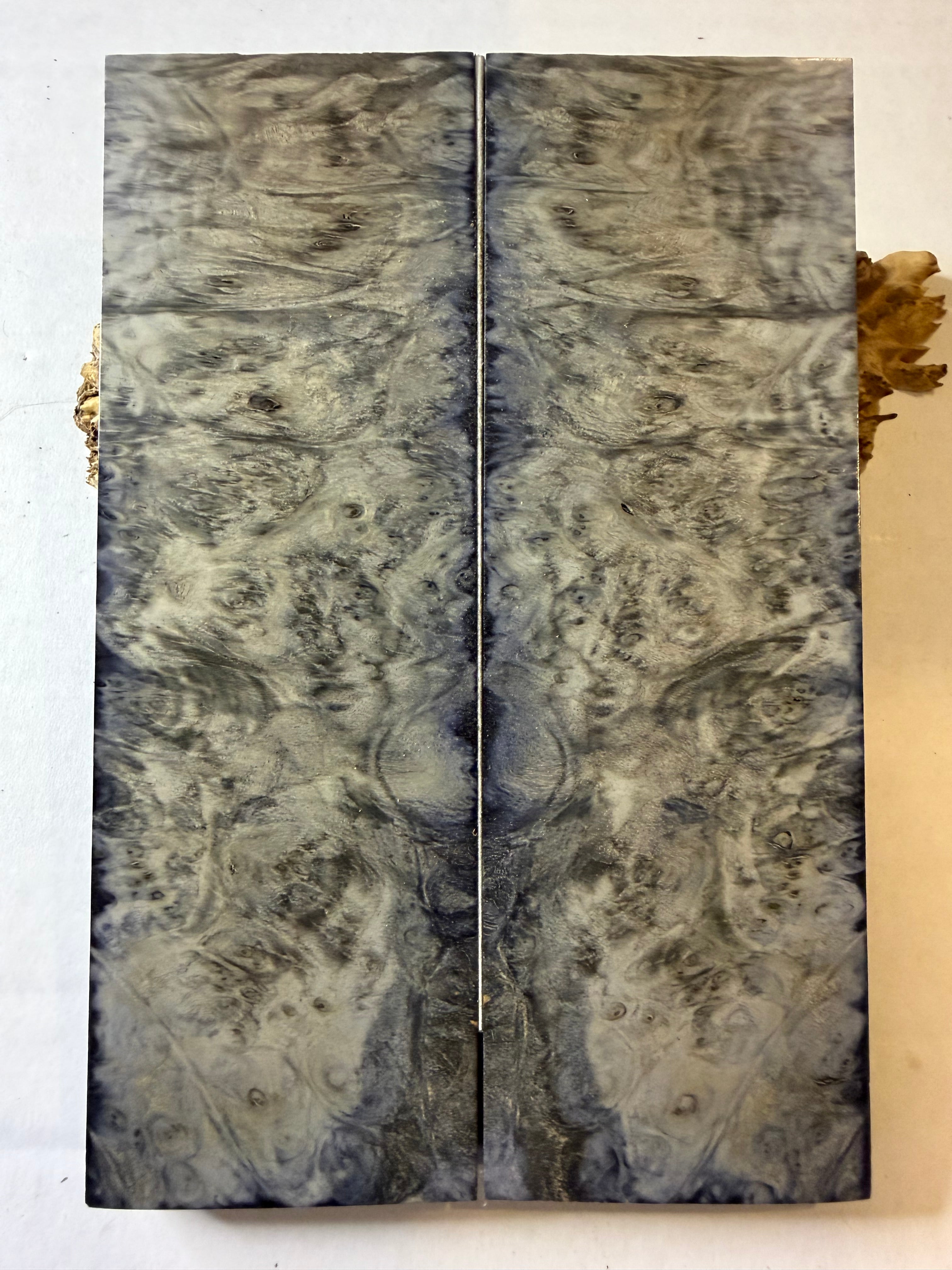 Boxelder | #0323