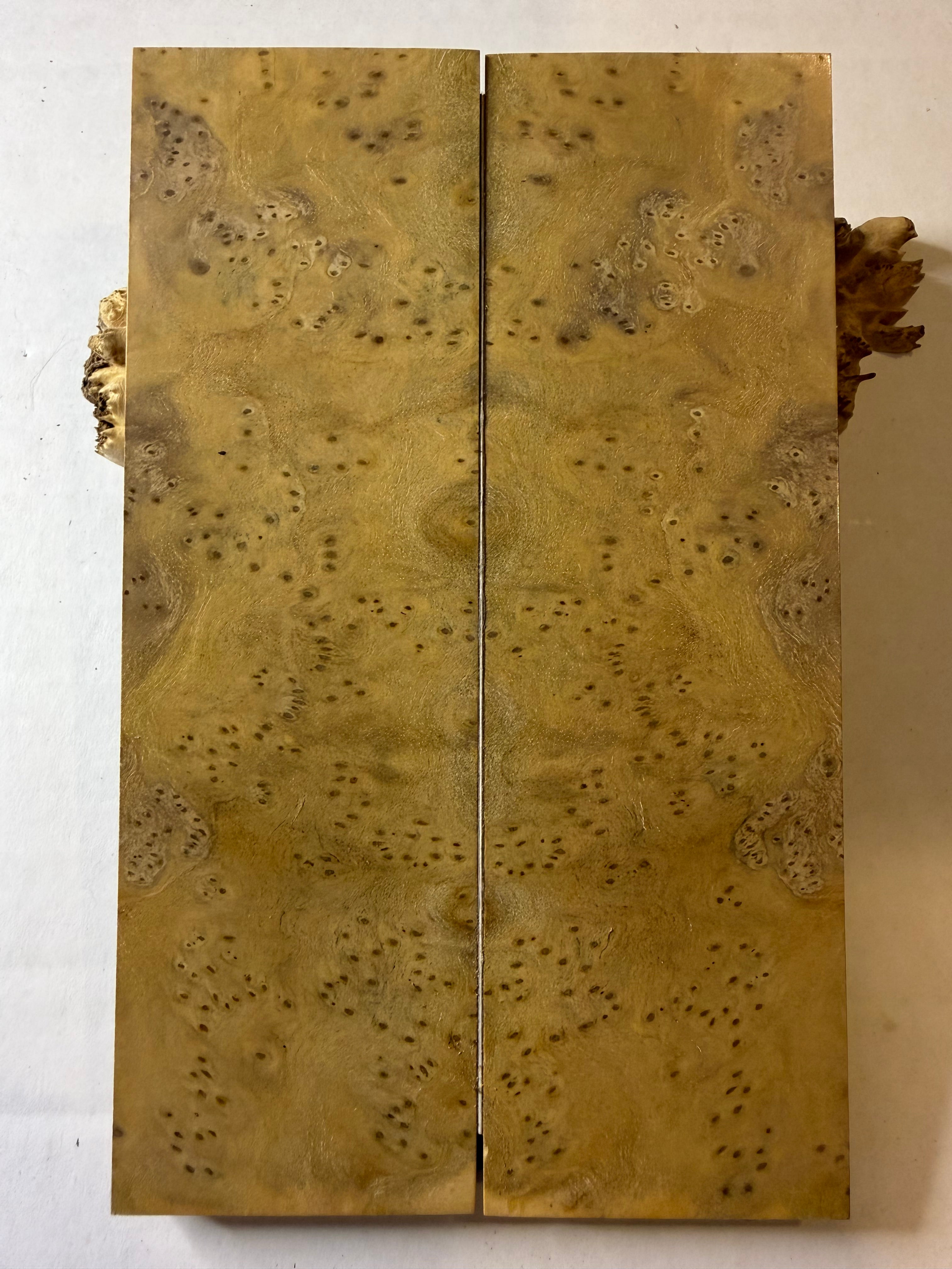 Cheesewood Burl | #0329