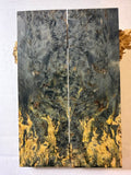 Karelian Birch | #0328
