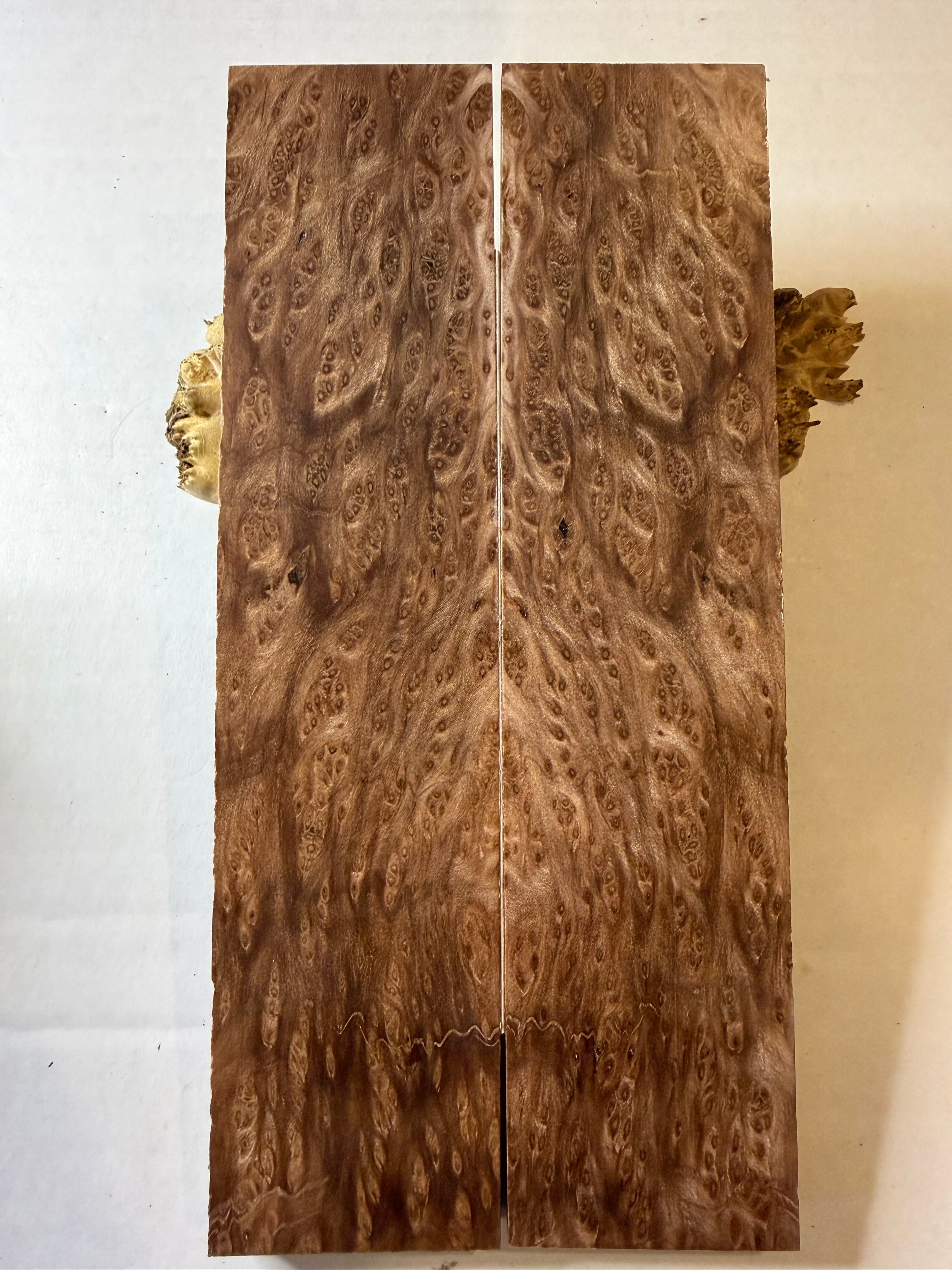 Redwood Burl | #0327