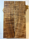 Tasmanian Blackwood | #0332