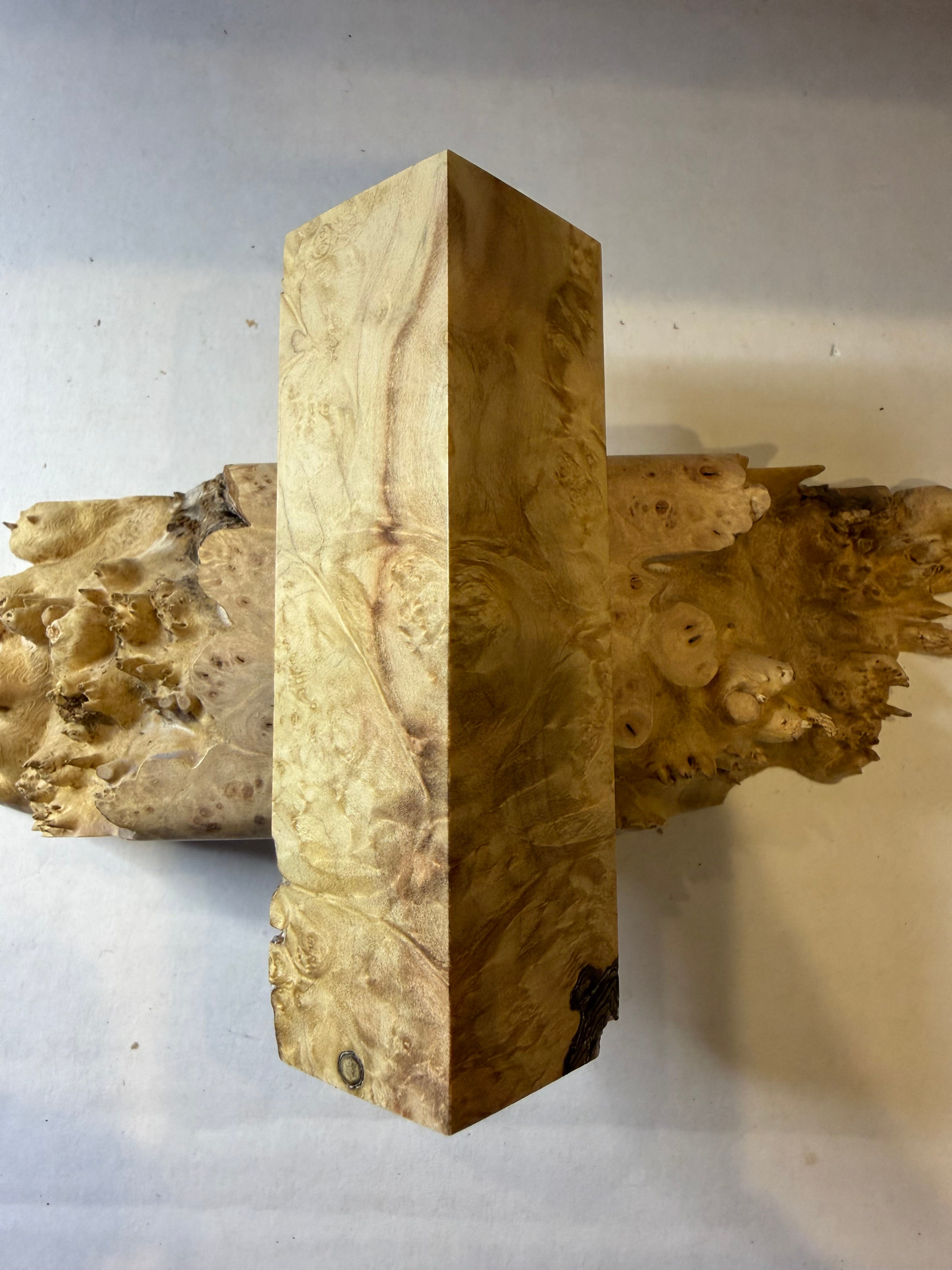 Boxelder Burl | #0340