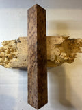 Redwood Burl | #0342