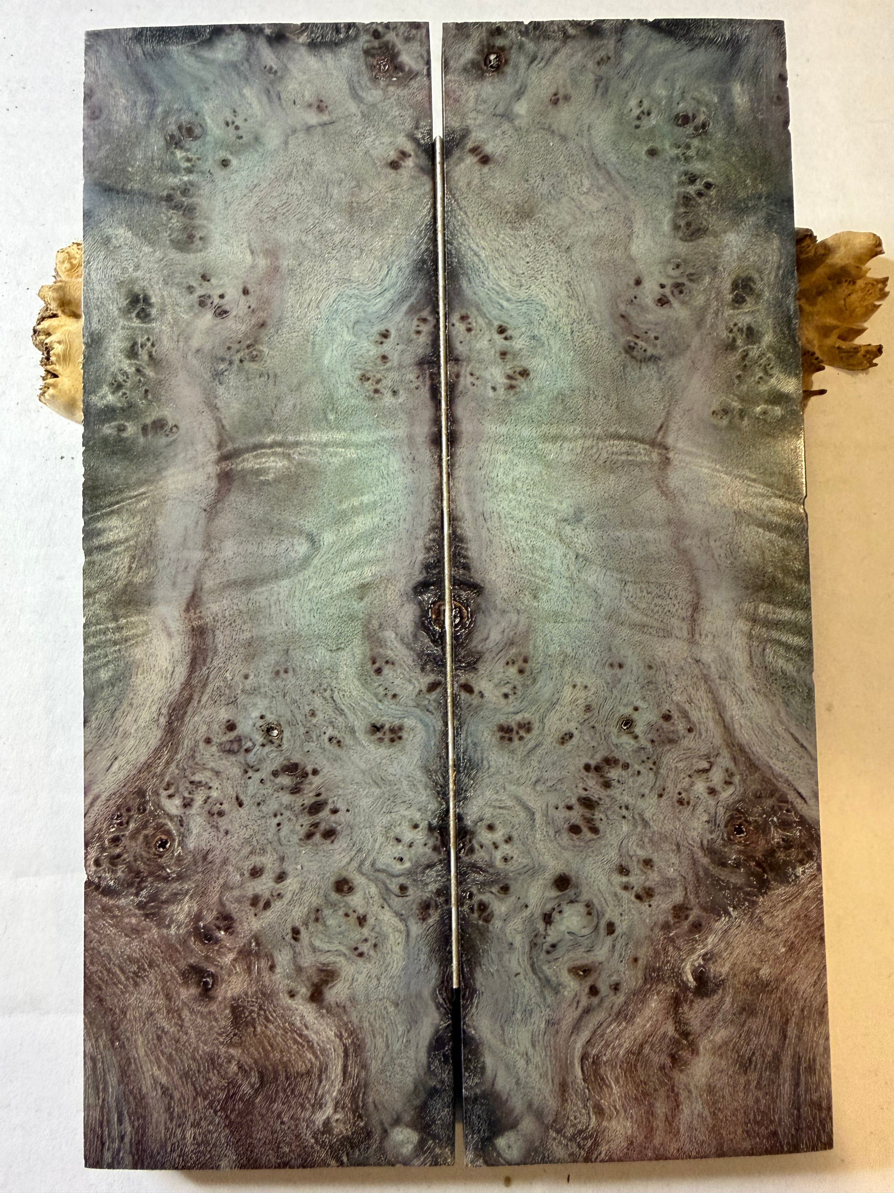 Boxelder Burl | # 0349