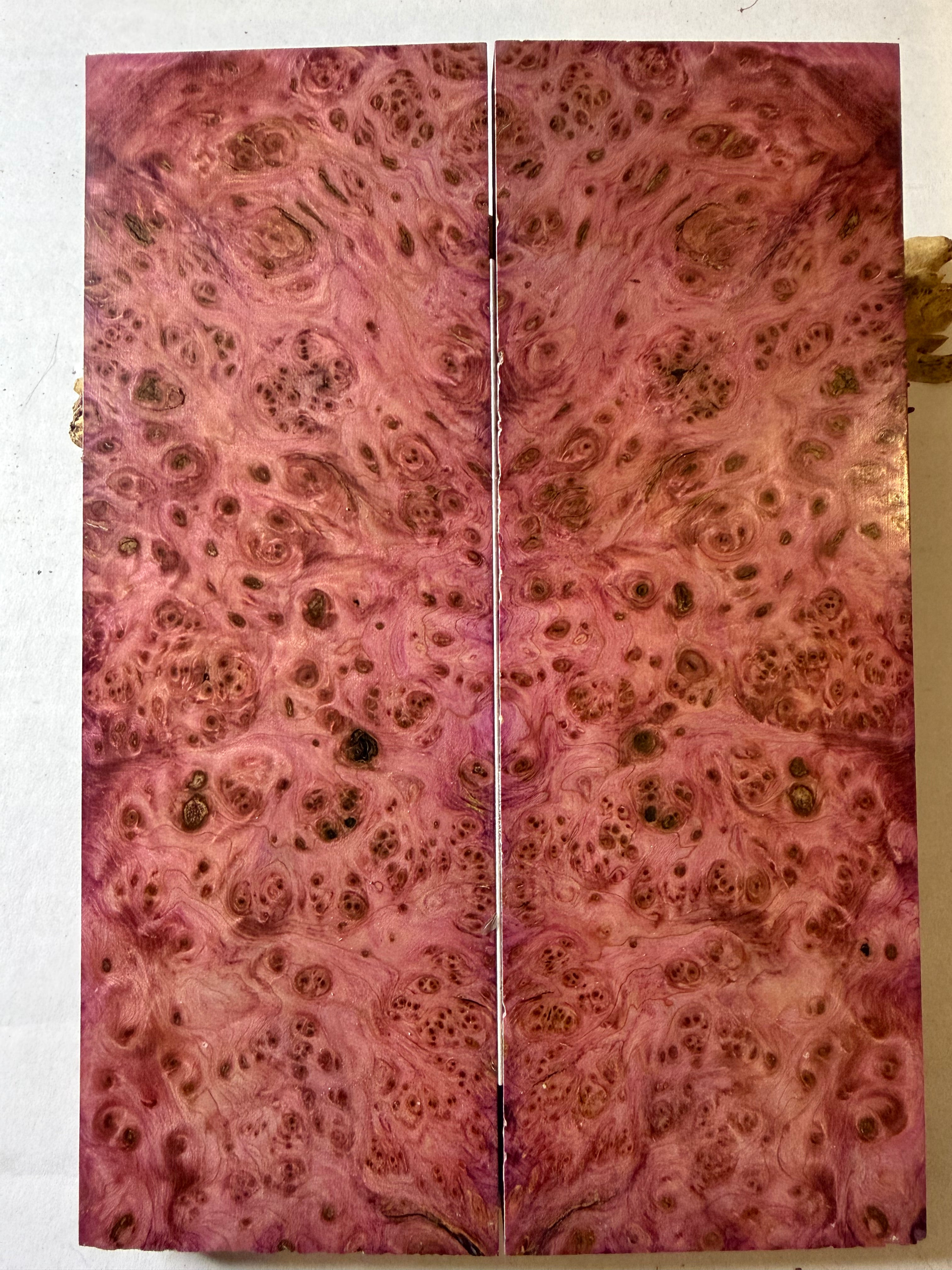 Yellow Cedar Burl | #0352