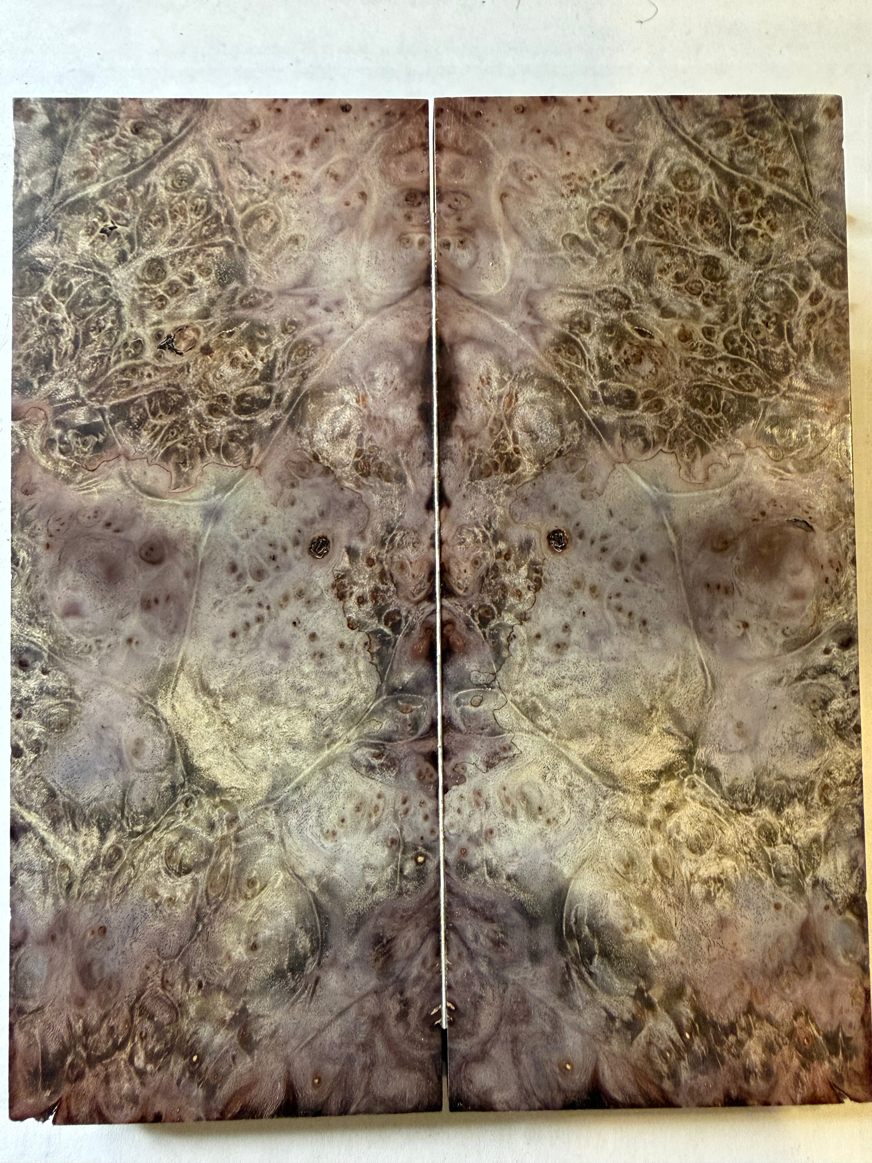 Boxelder Burl | # 0356