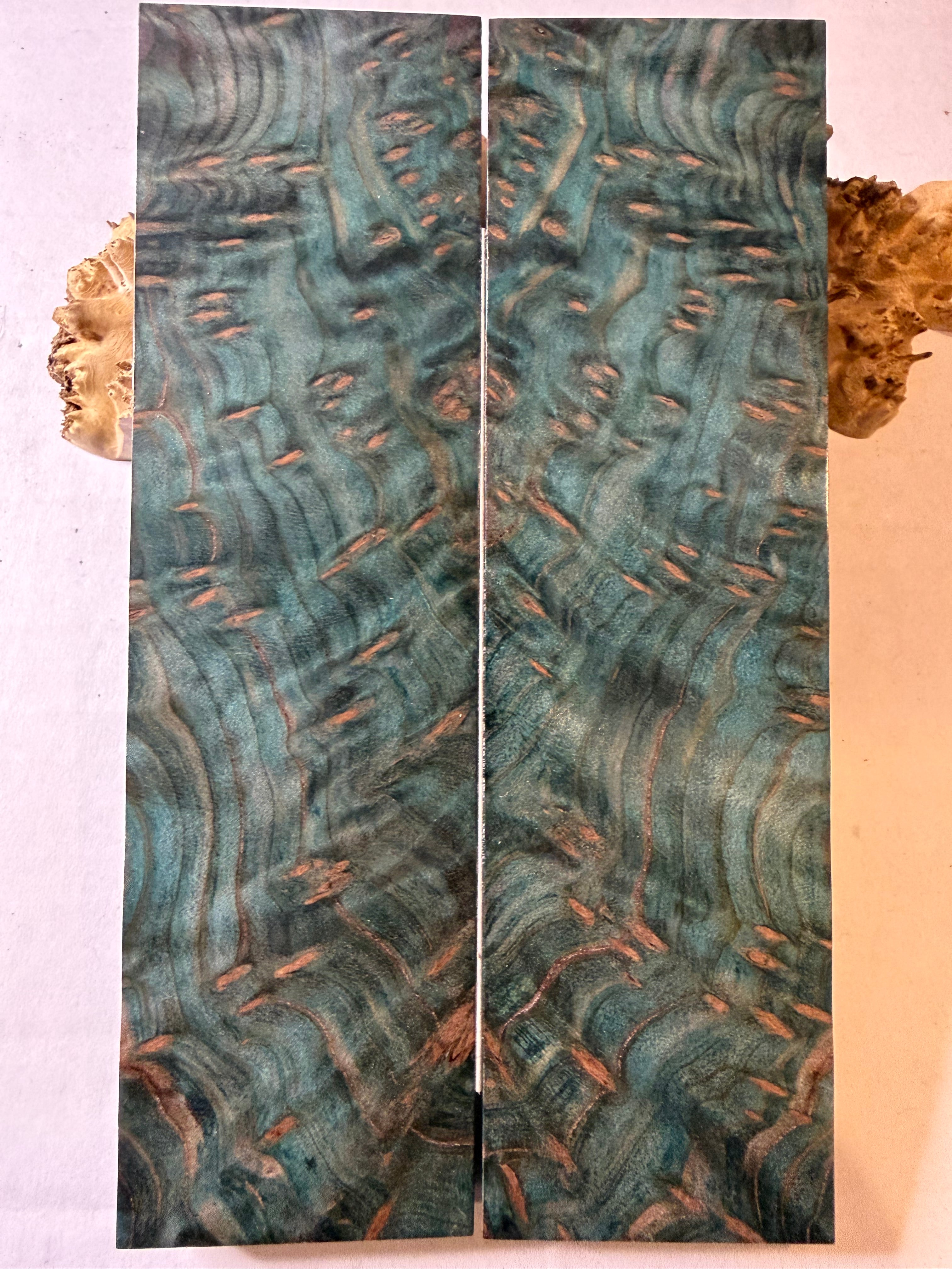Redwood | #0358