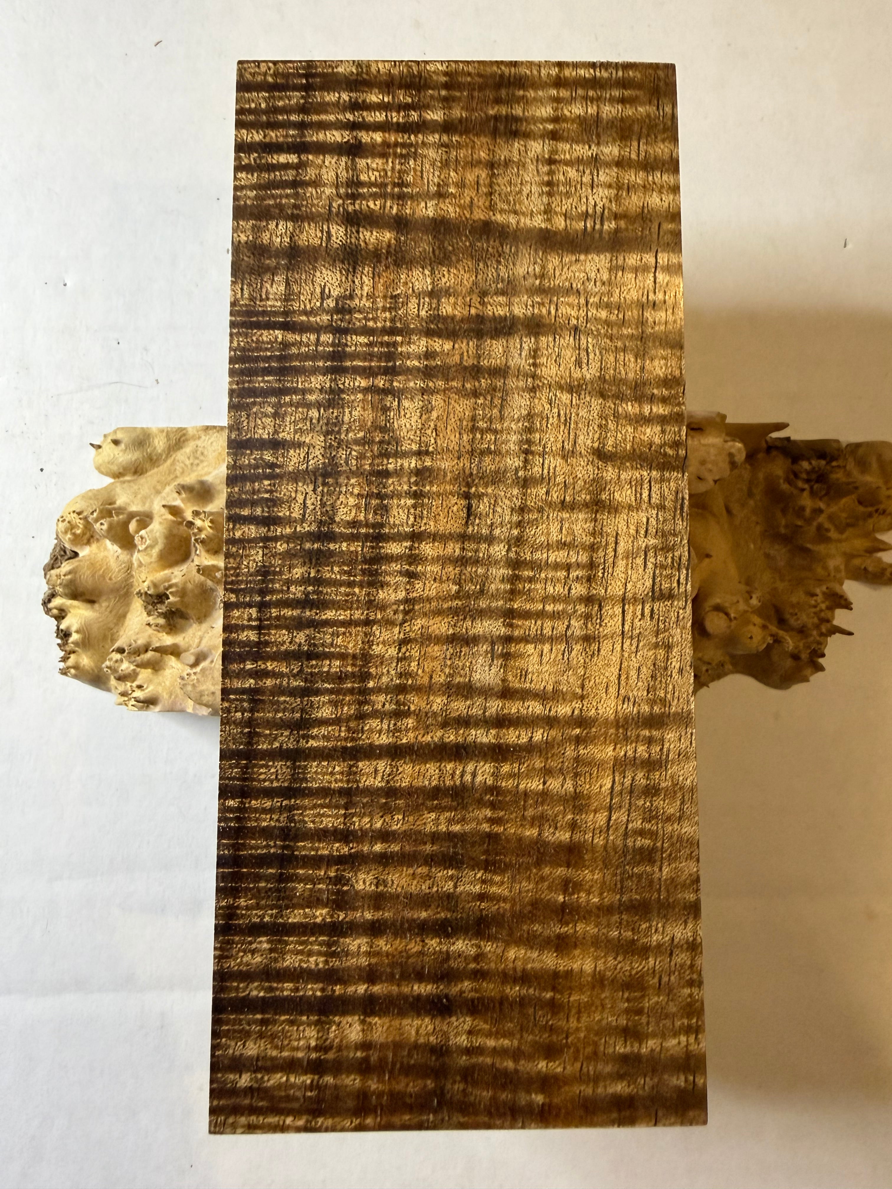 Tasmanian Blackwood | #0360