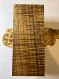 Tasmanian Blackwood | #0360