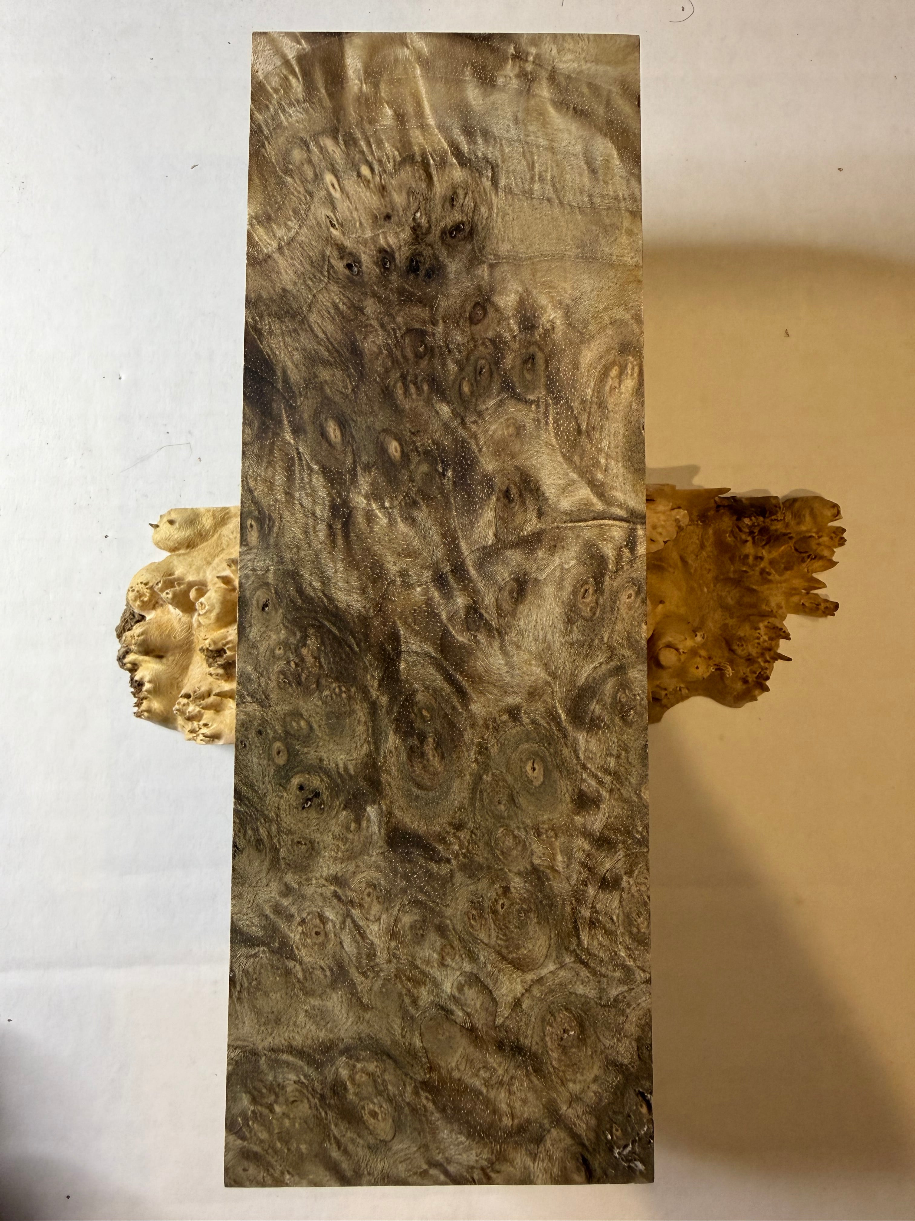 Turkish Walnut Burl | #0361