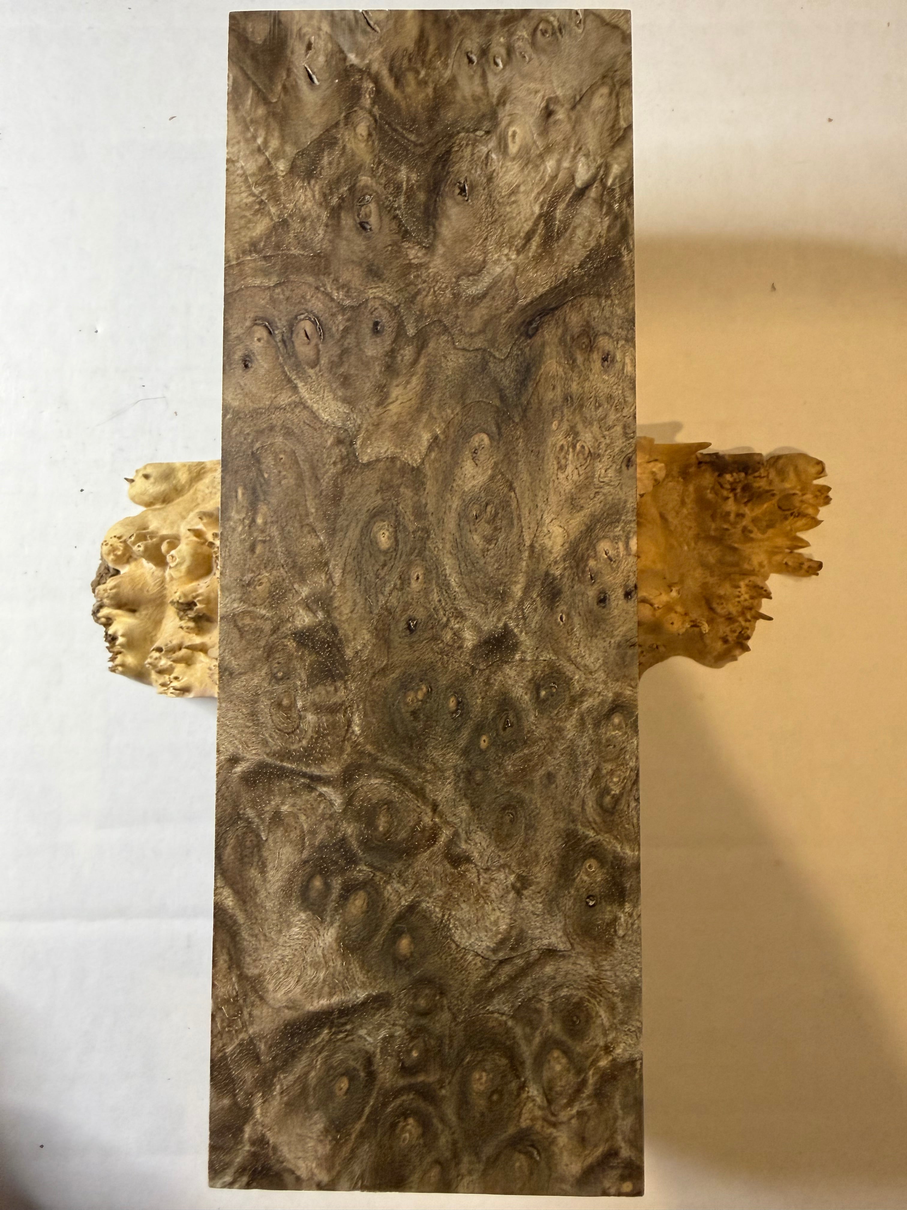 Turkish Walnut Burl | #0361