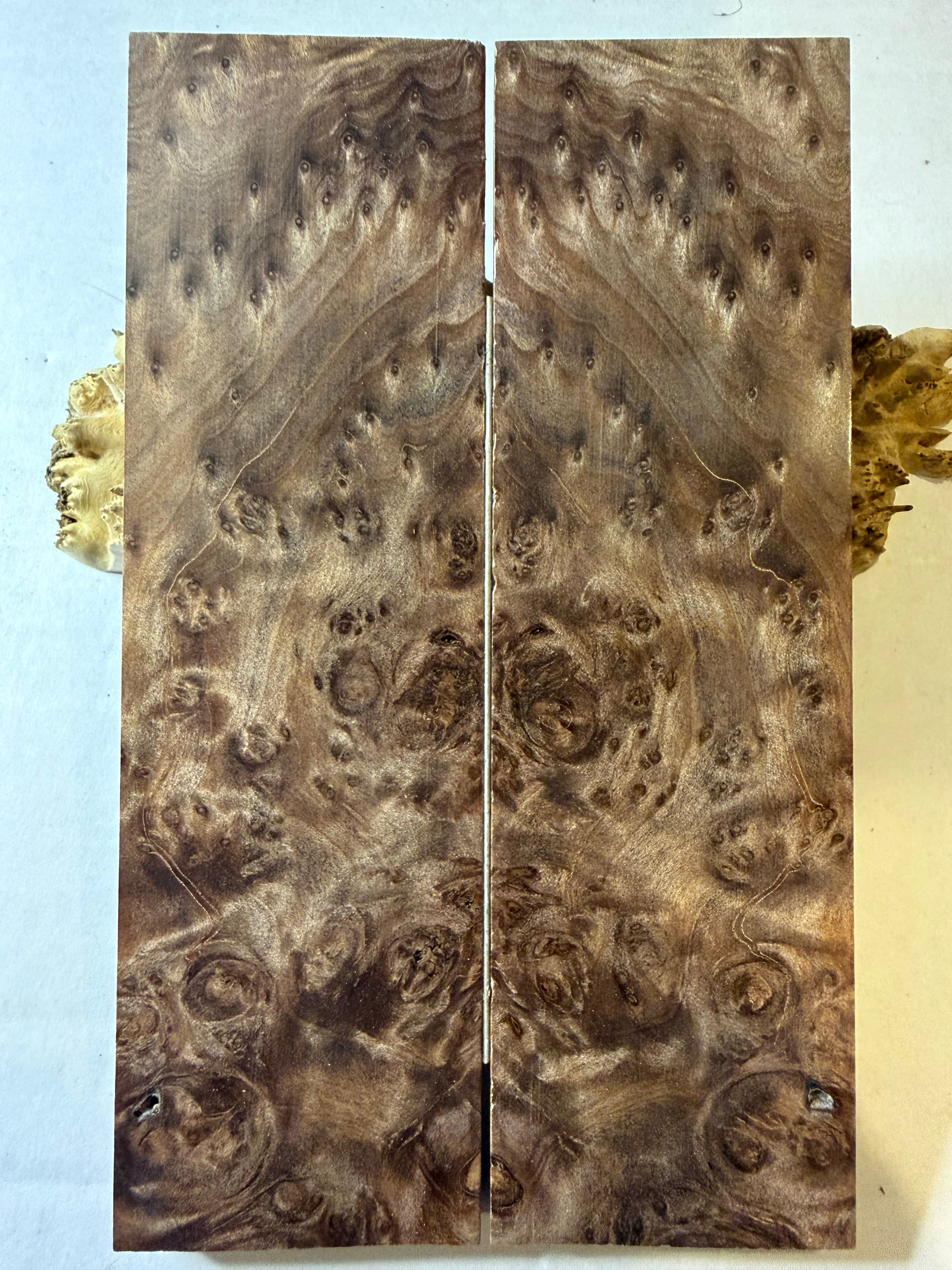 Redwood Burl | #0367