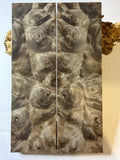 Turkish Walnut Burl | #0371