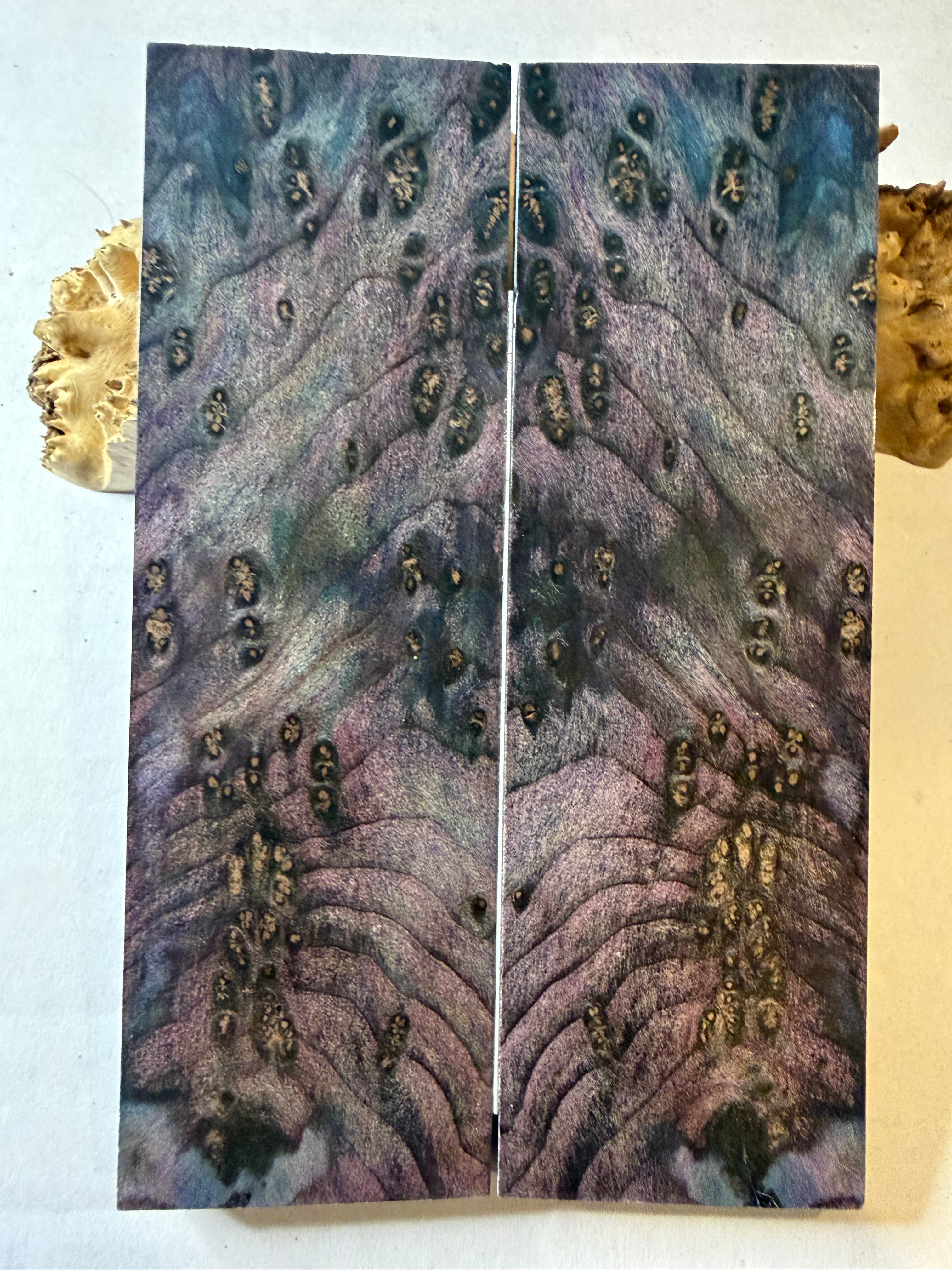 Redwood Burl | #0380