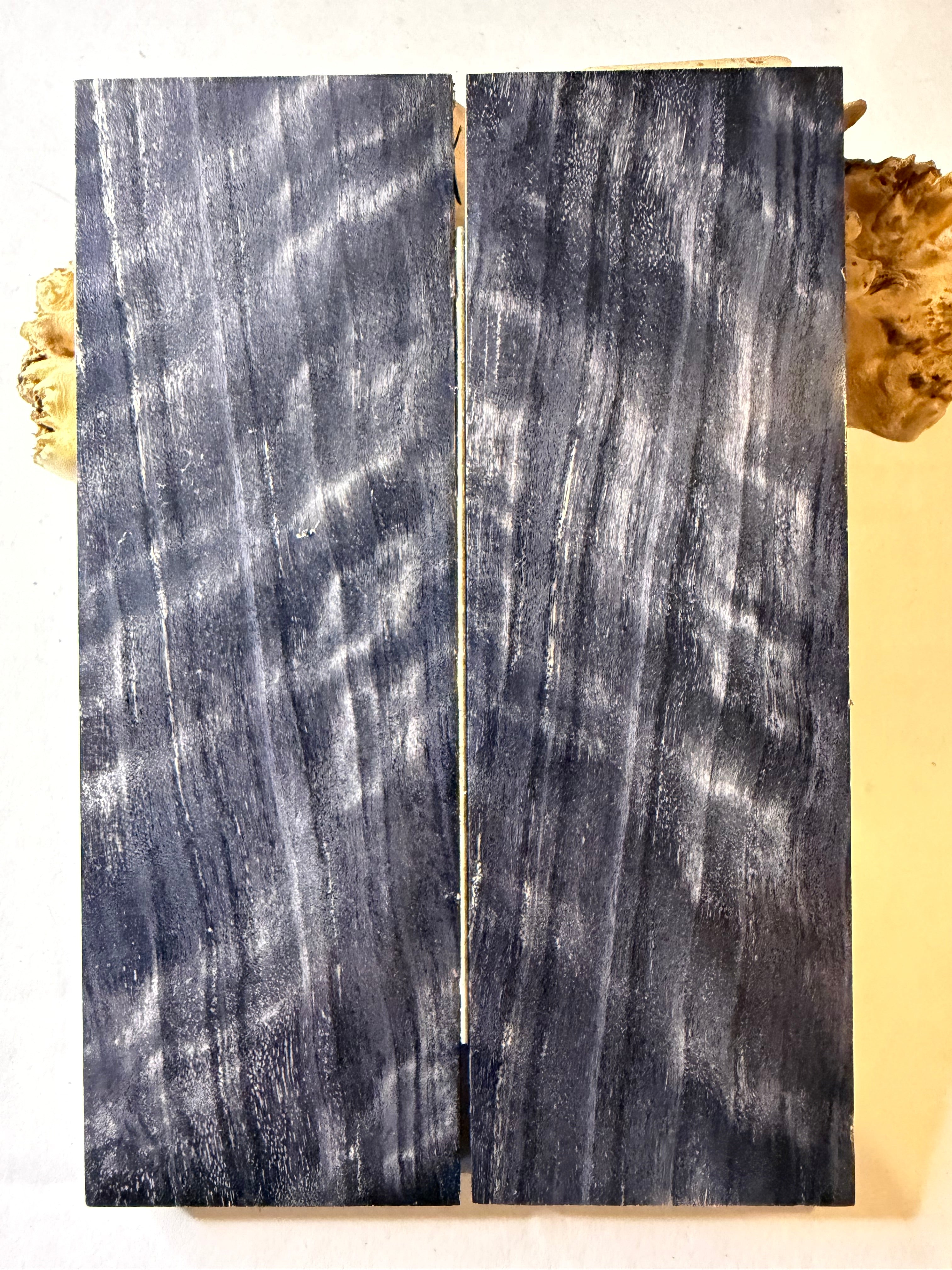 Cottonwood | #0377