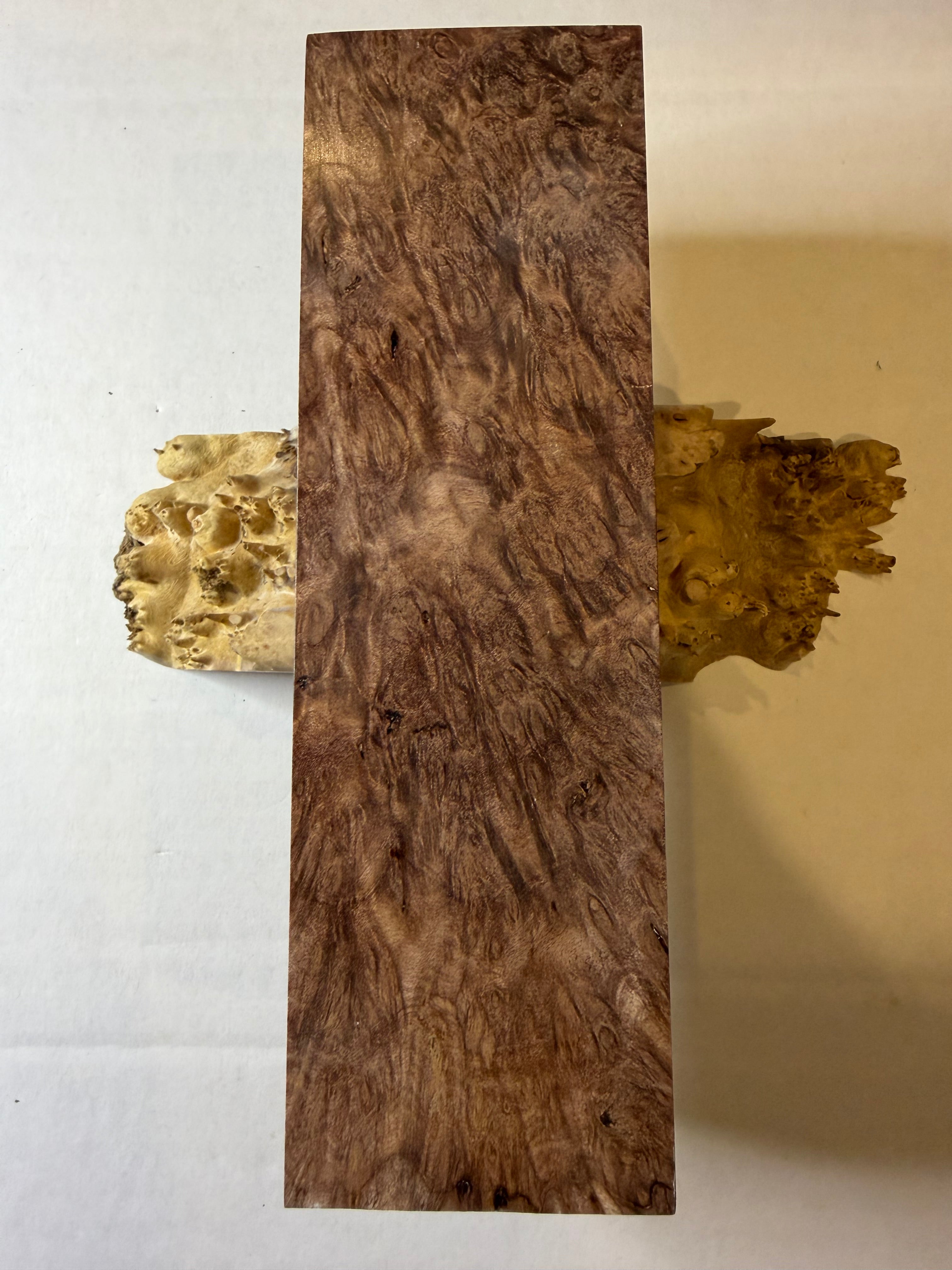 Redwood | #0383