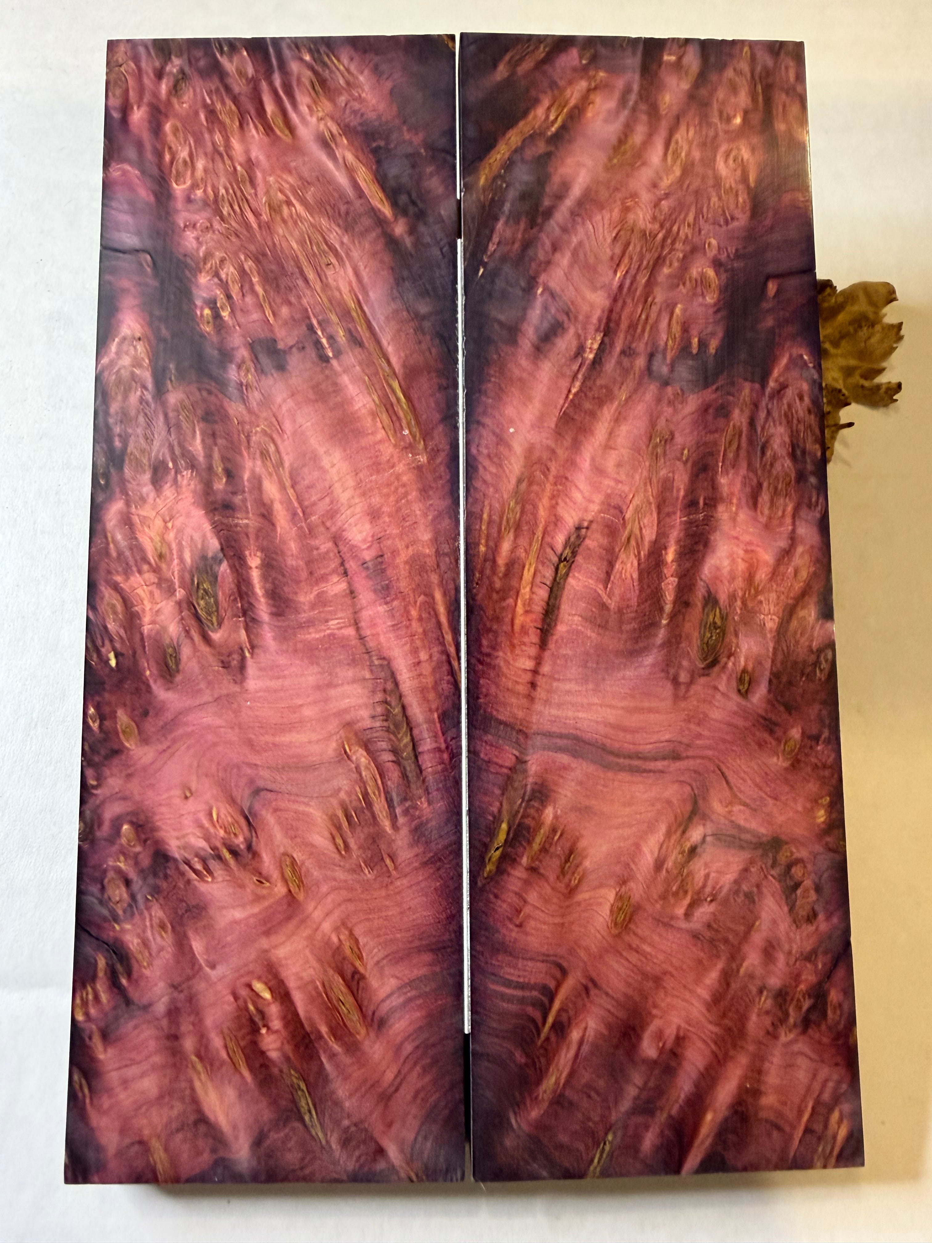 Yellow Cedar Burl | #0387