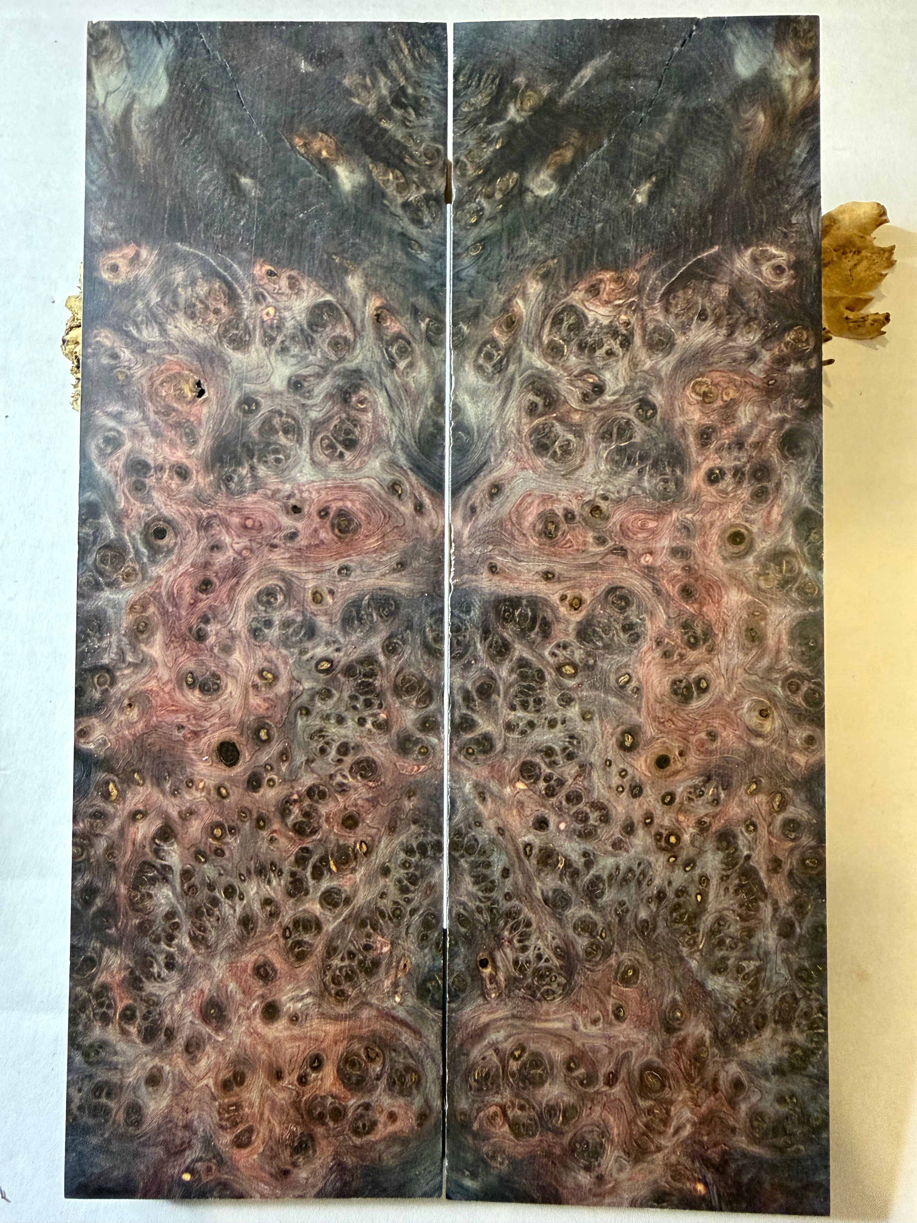 Yellow Cedar Burl | #0388