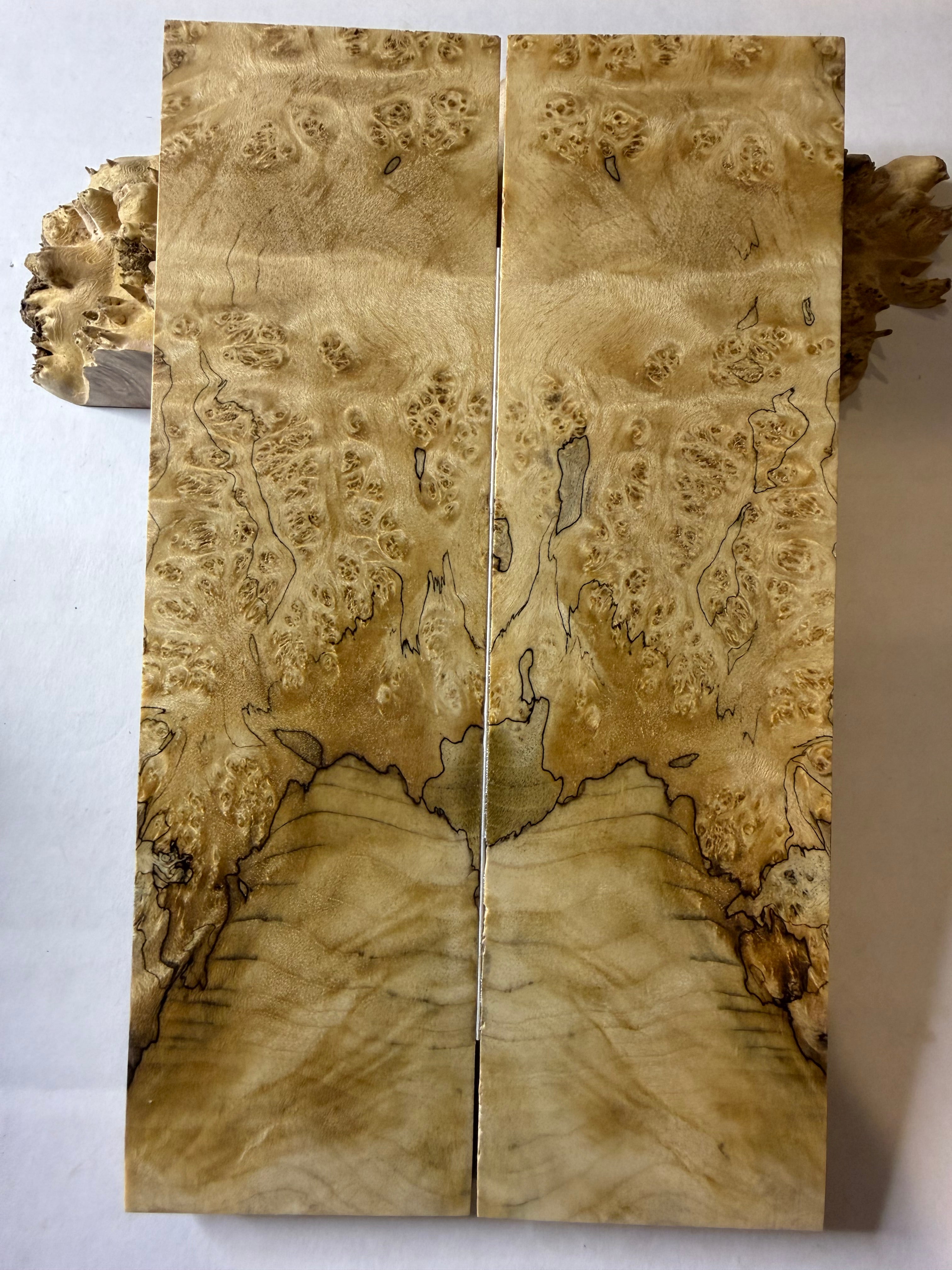 Boxelder Burl | #0386
