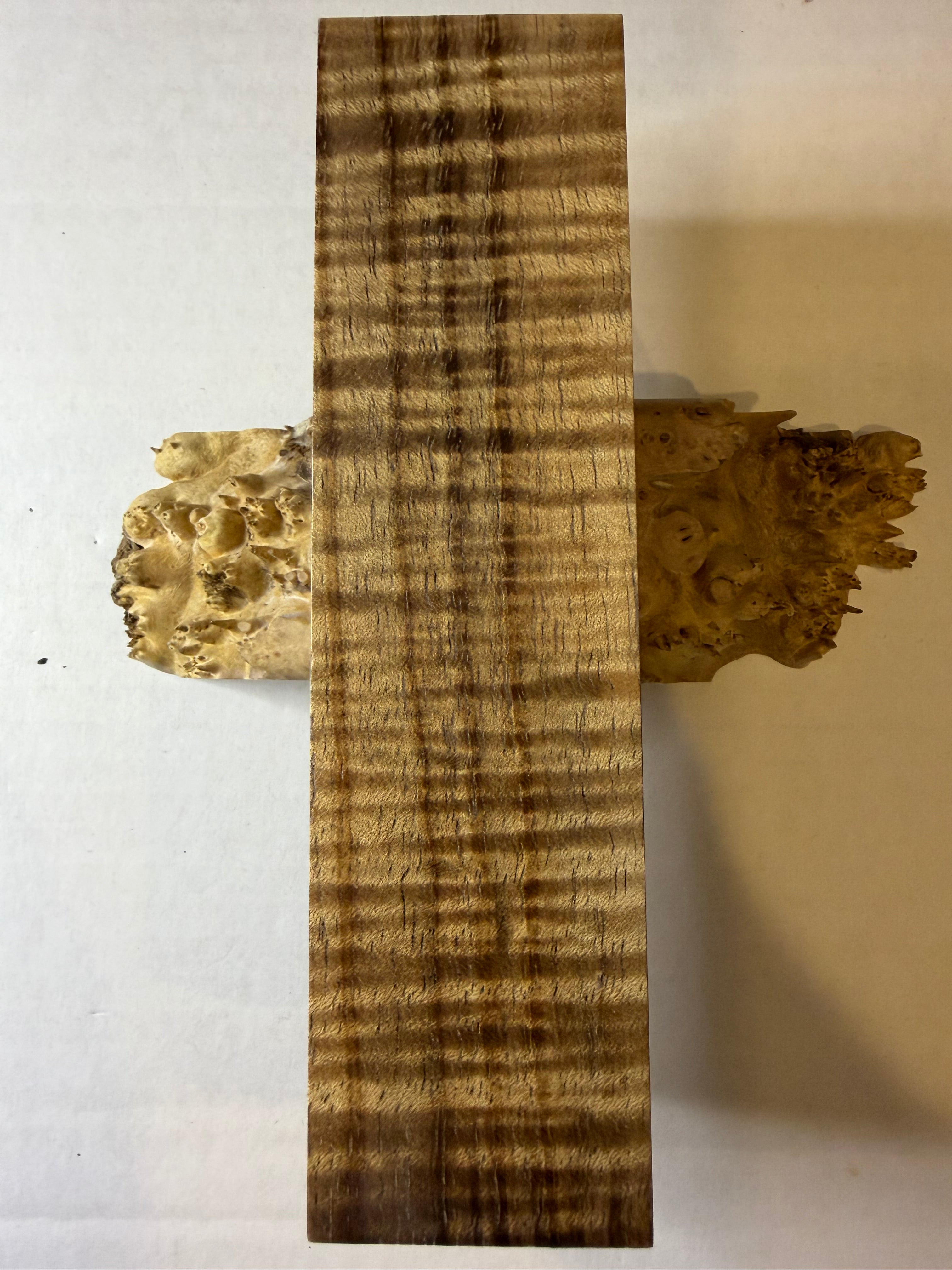 Tasmanian Blackwood | #0393