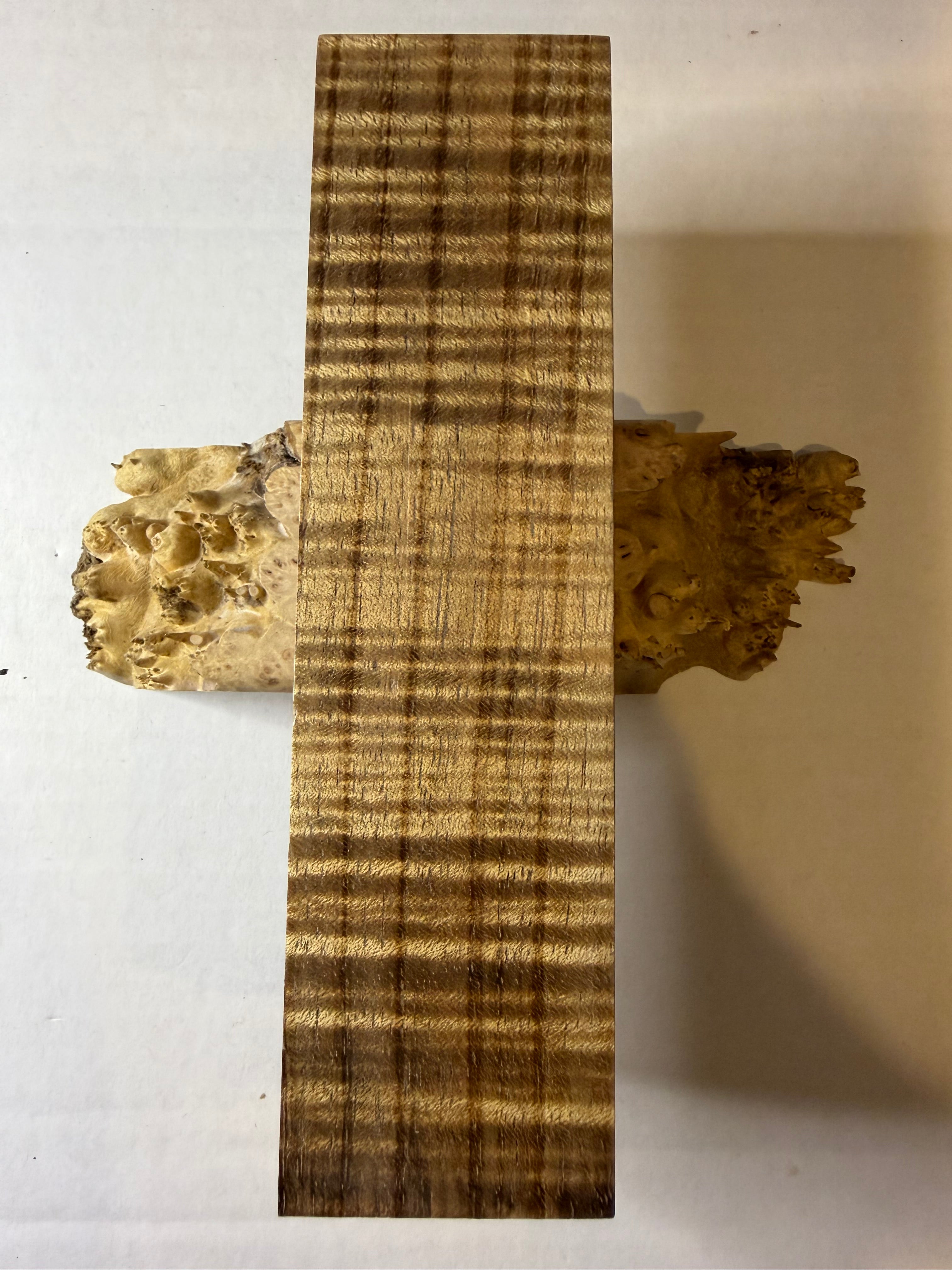 Tasmanian Blackwood | #0393