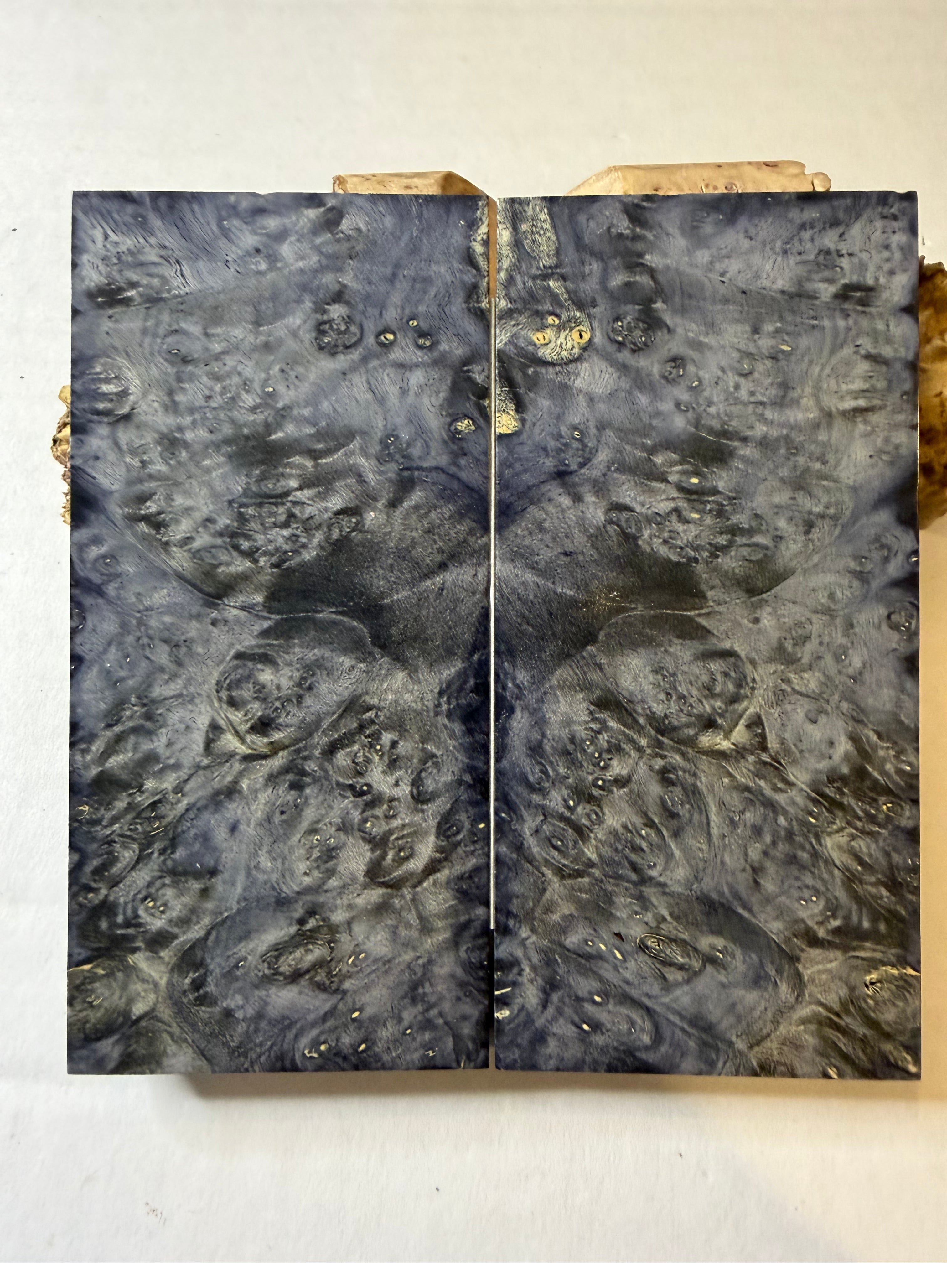 Boxelder Burl | #0397