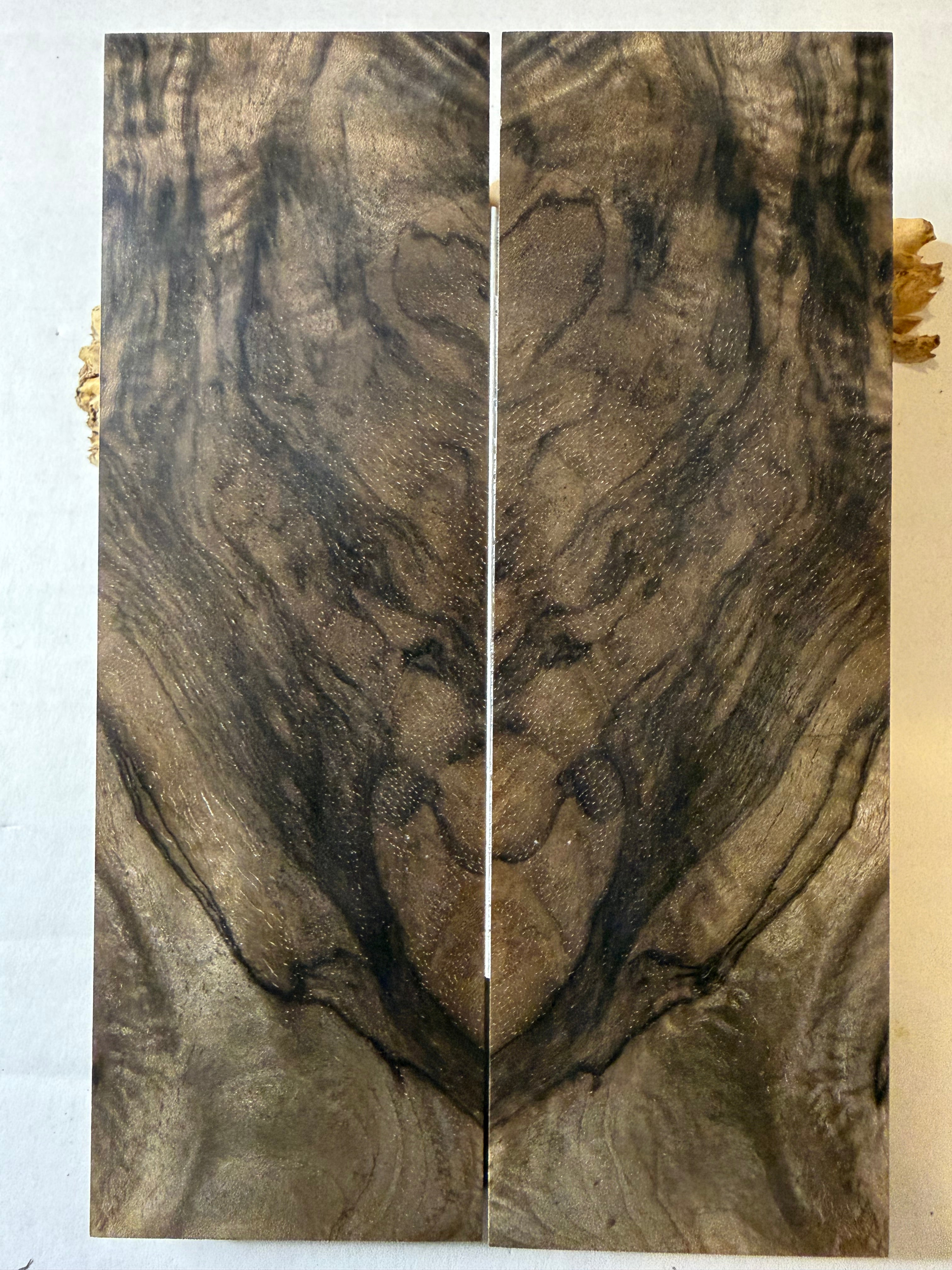 Turkish Walnut | #0396