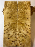 Yellow Cedar Burl | #0402