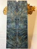 Yellow Cedar Burl | #0404