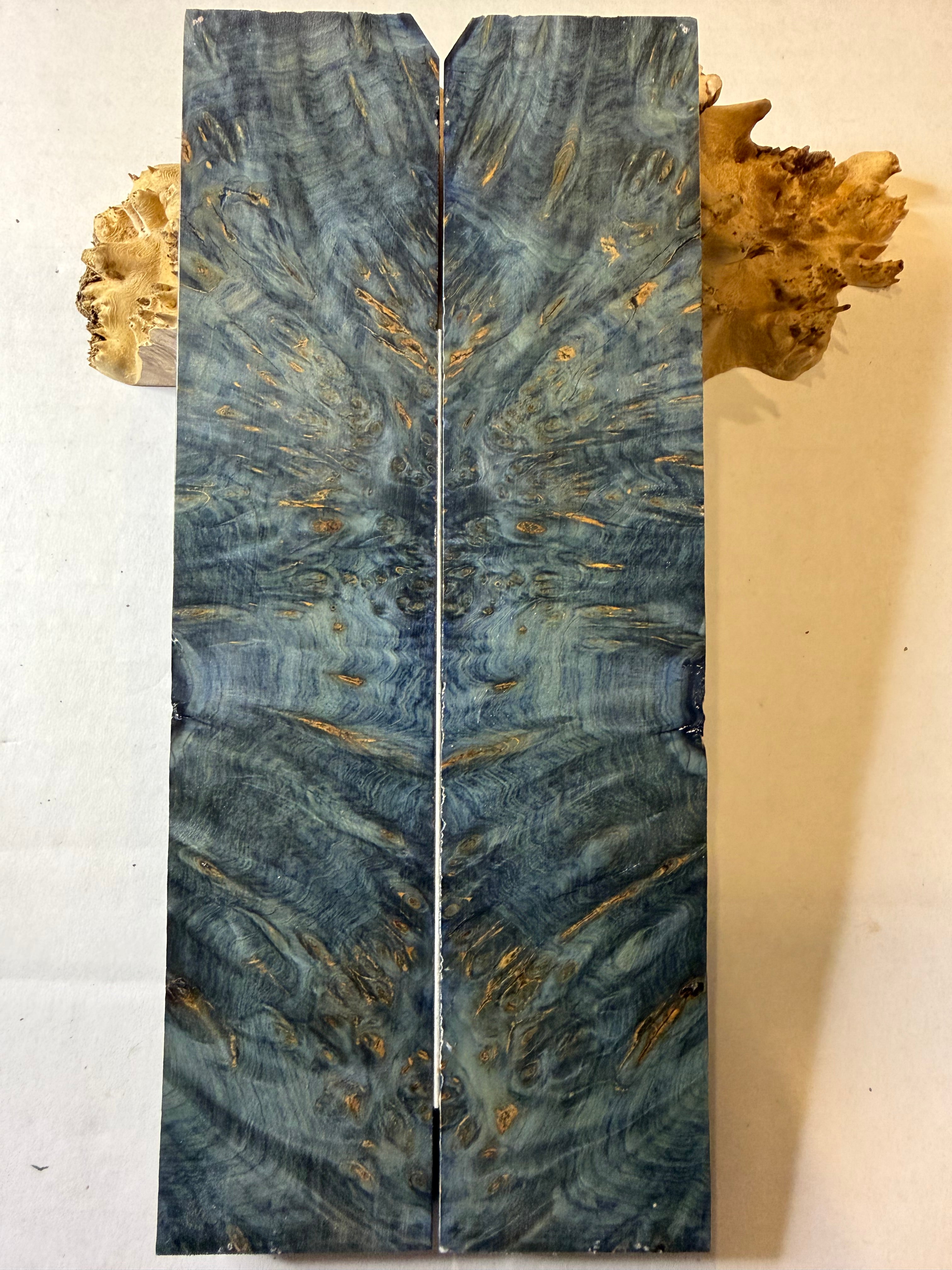Yellow Cedar Burl | #0404