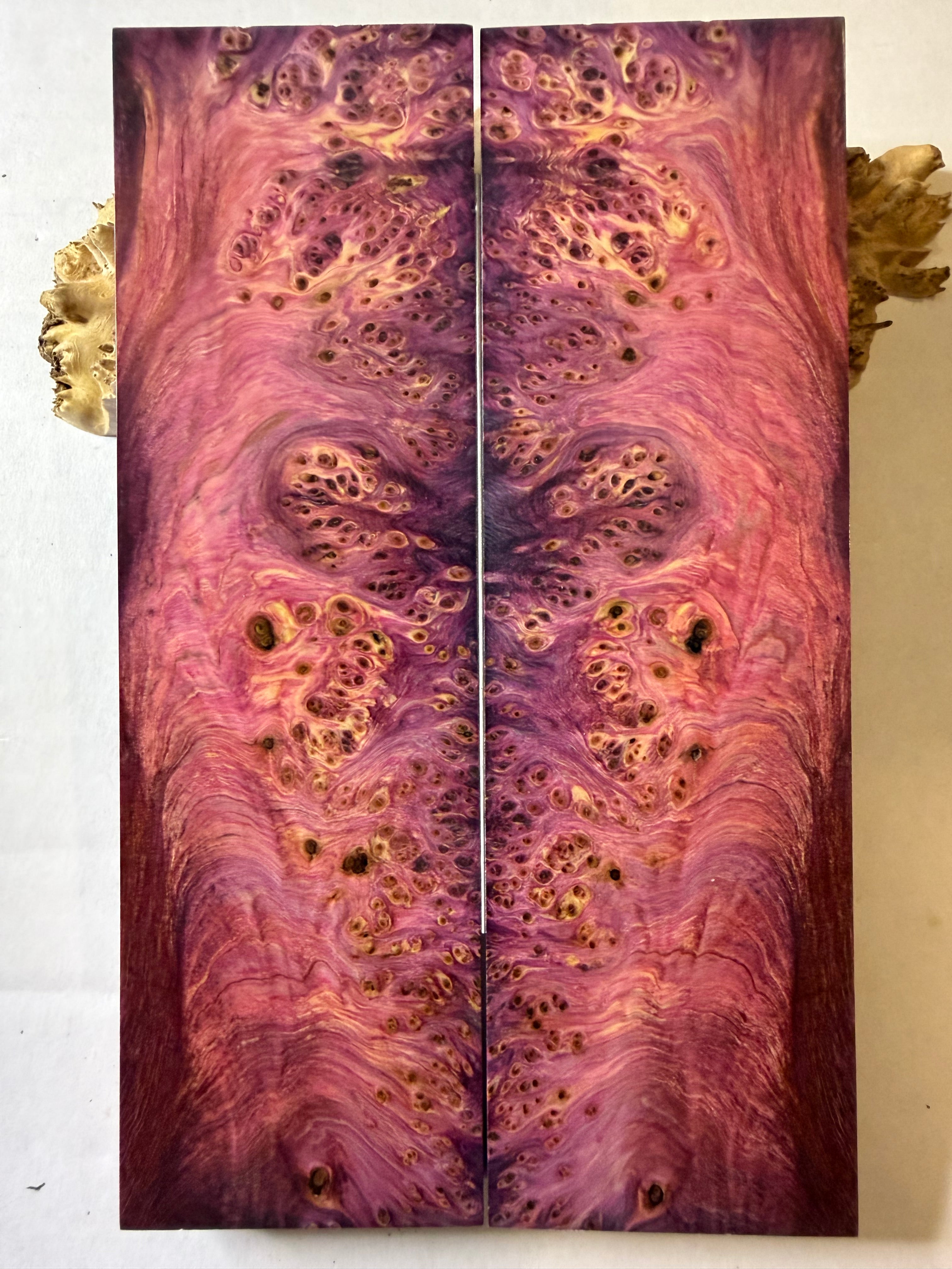 Yellow Cedar Burl | #0407