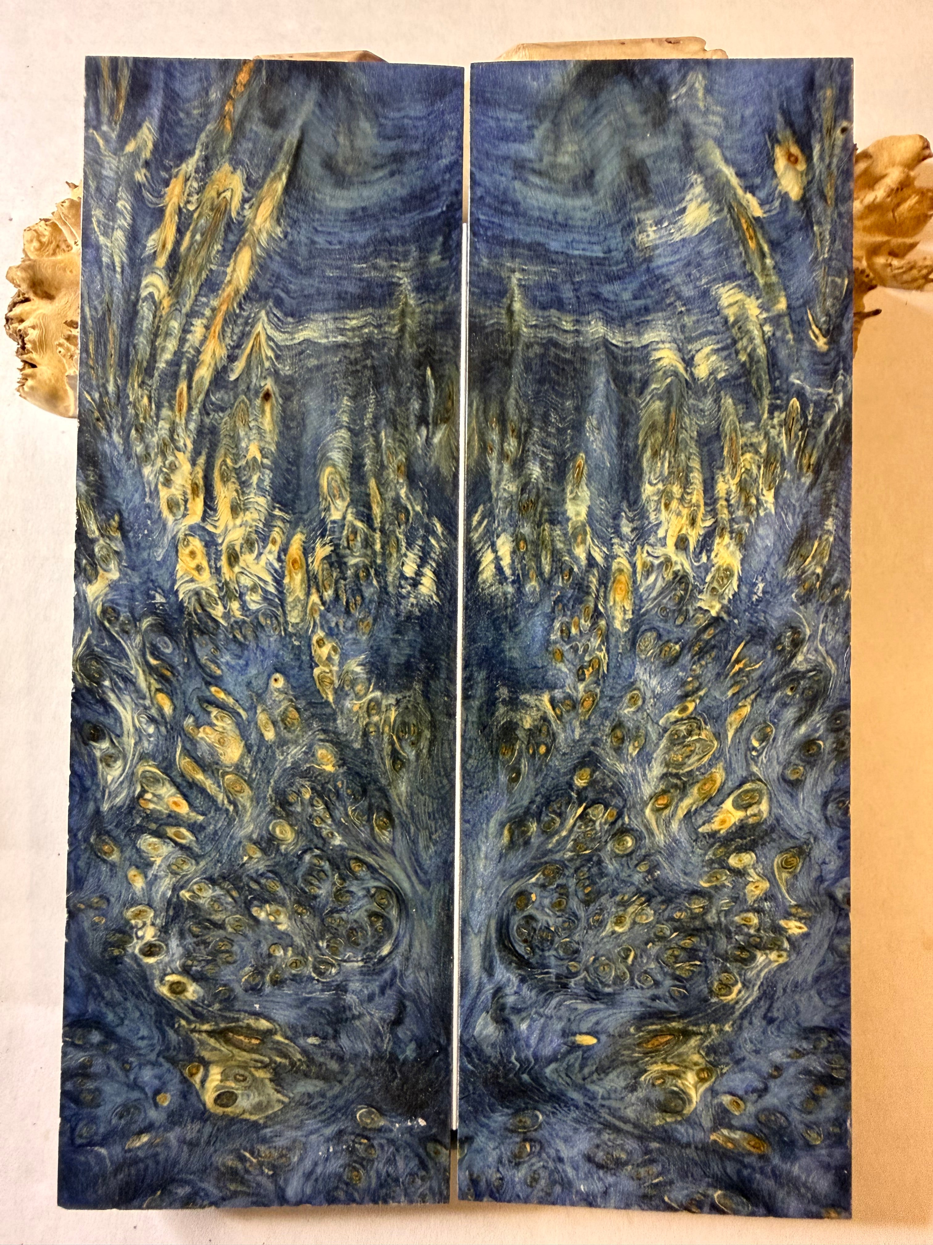 Yellow Cedar Burl | #0406