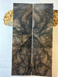 Turkish Walnut | #0414