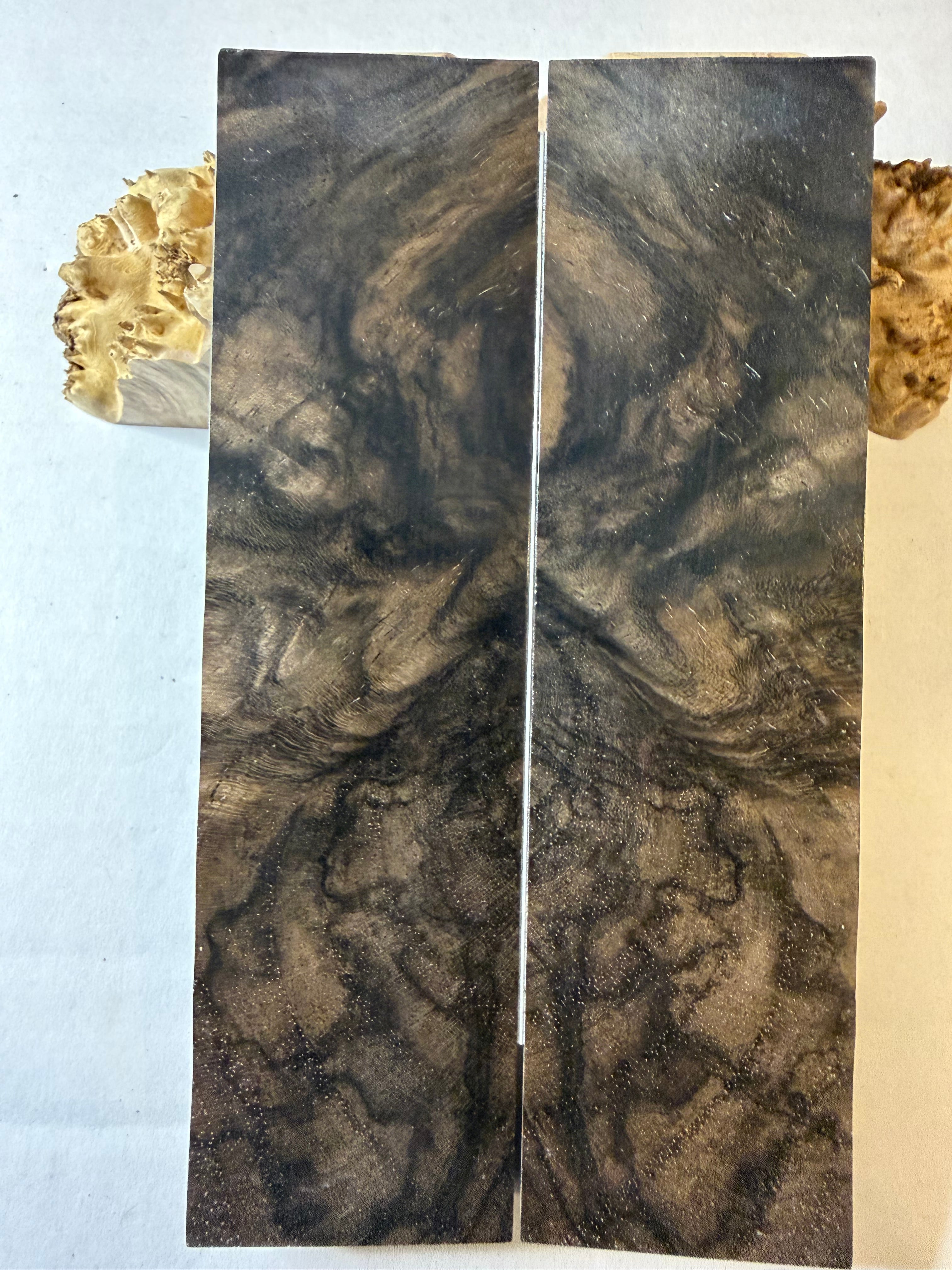 Turkish Walnut | #0414