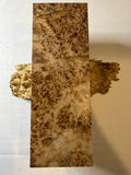 Birch Burl | #0418
