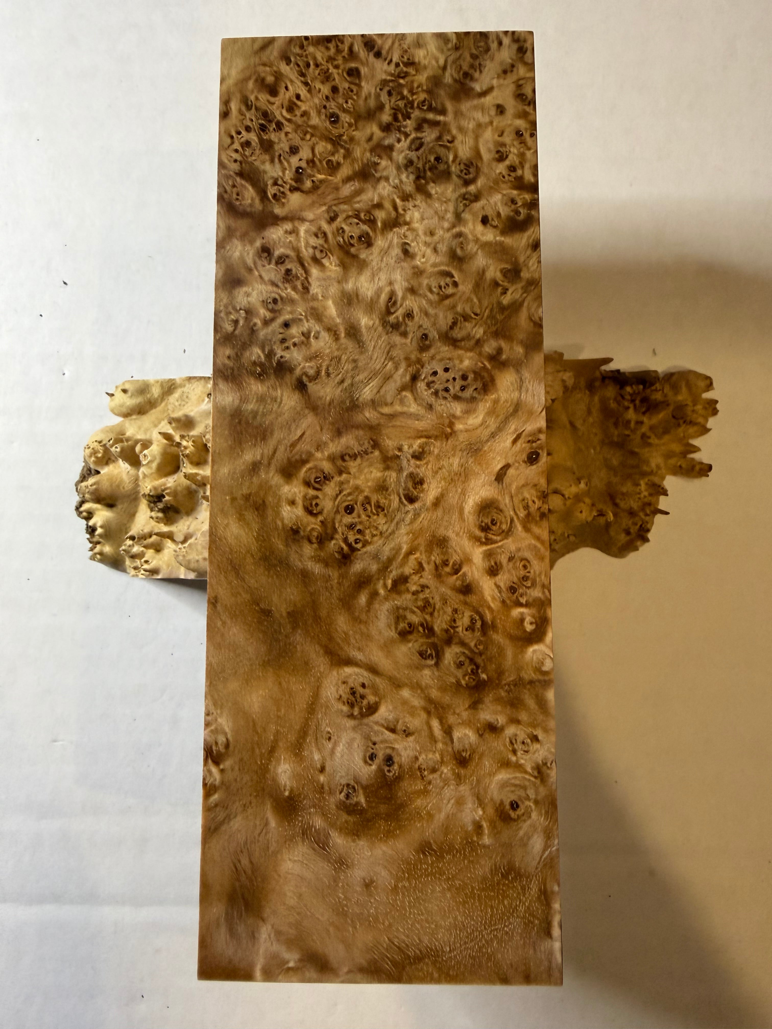 Birch Burl | #0418
