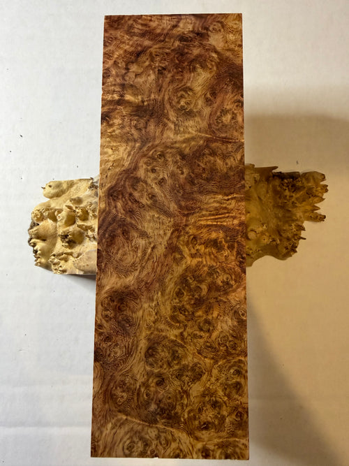 Ambonya Burl | #0419