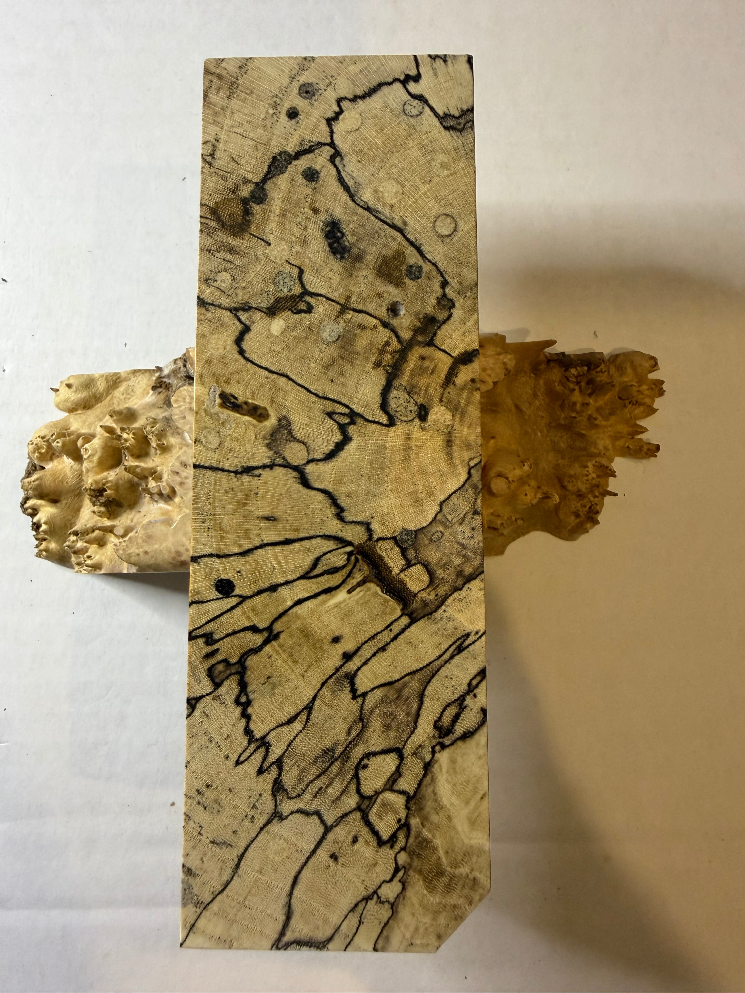 Hackberry | #0427