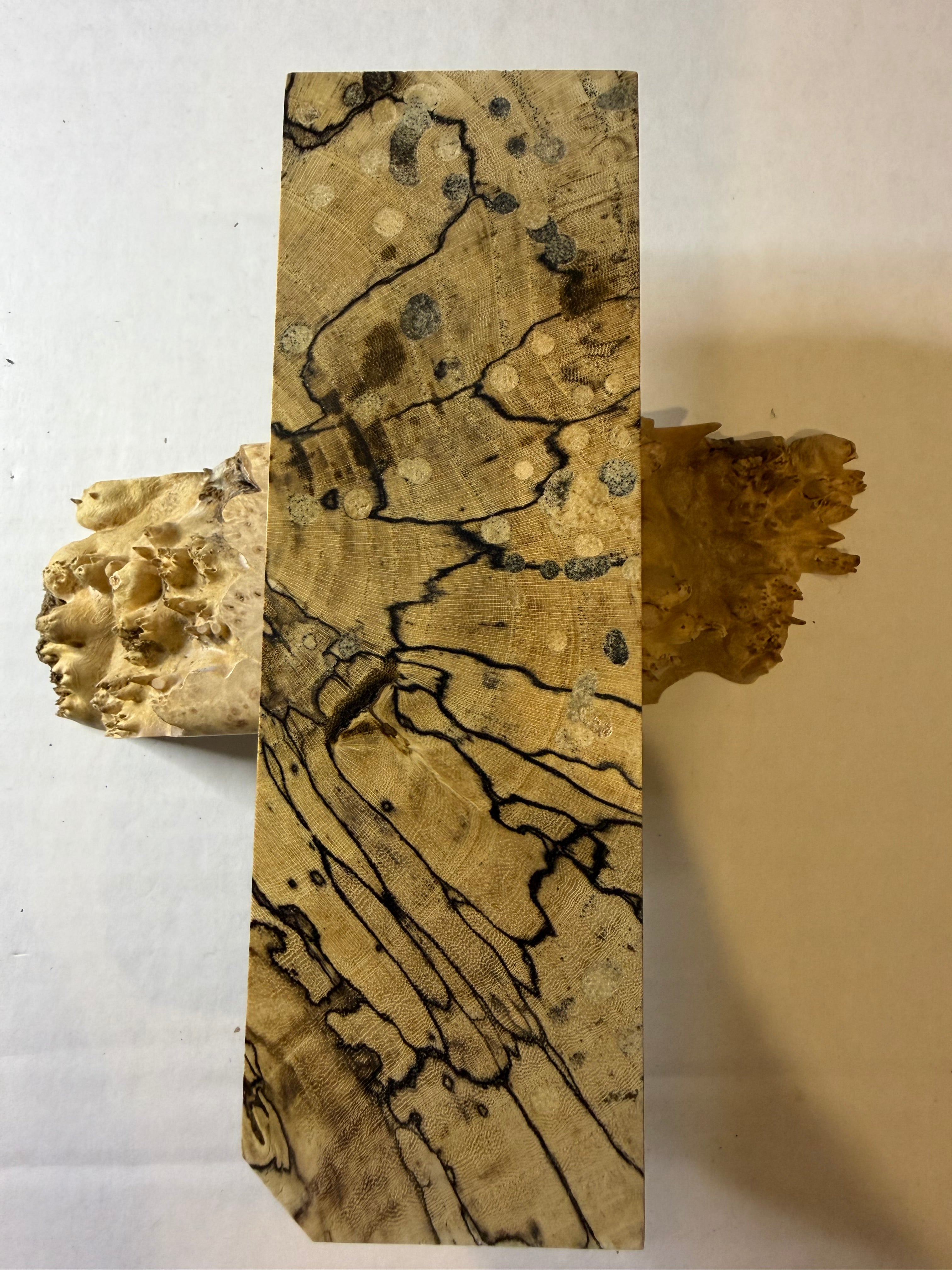 Hackberry | #0427
