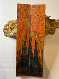 Karelian Birch | #0435