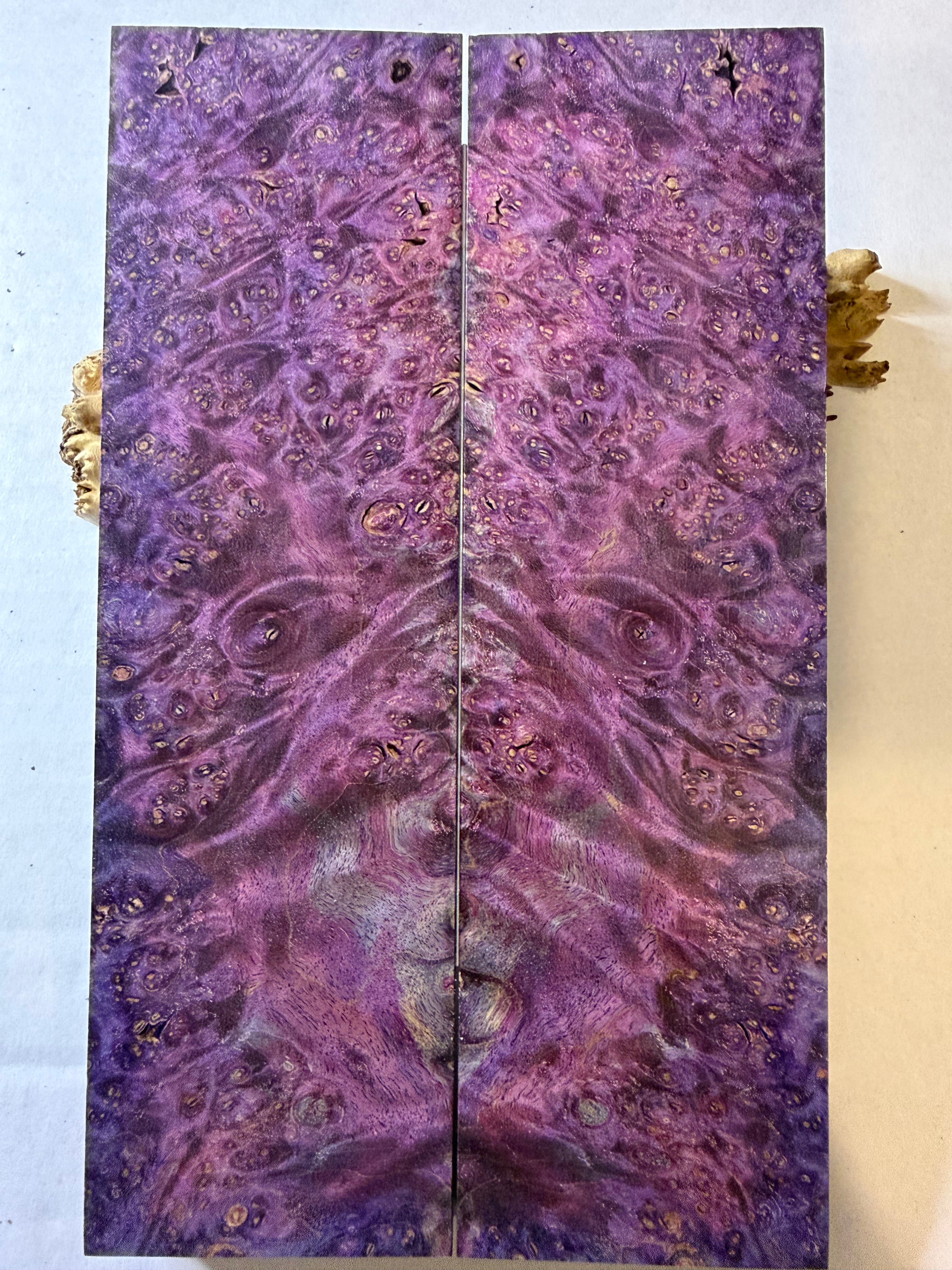Maple Burl | #0434