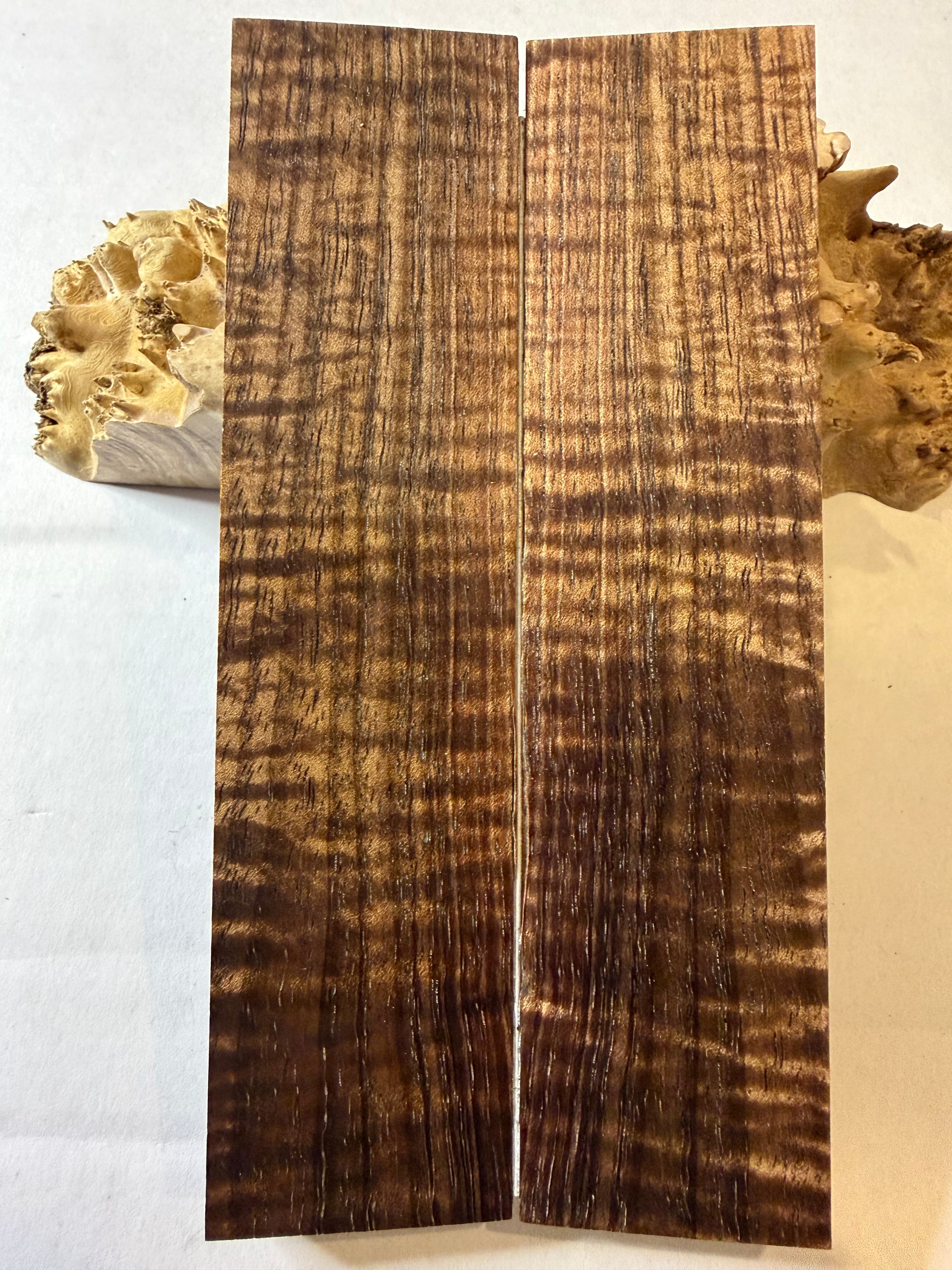Tasmanian Blackwood | #0448