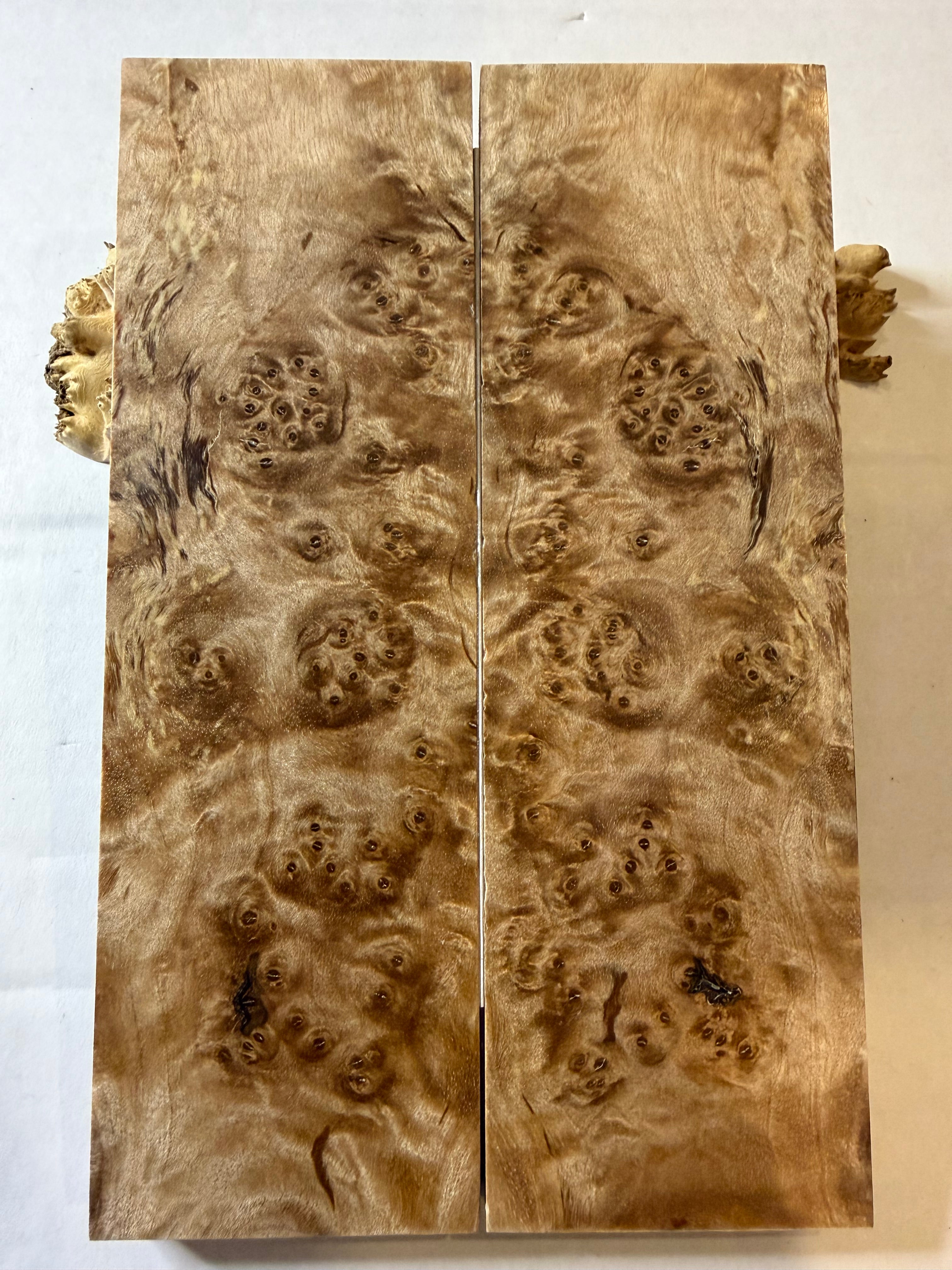 Maple Burl | #0451