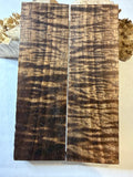 Tasmanian Blackwood | #0452